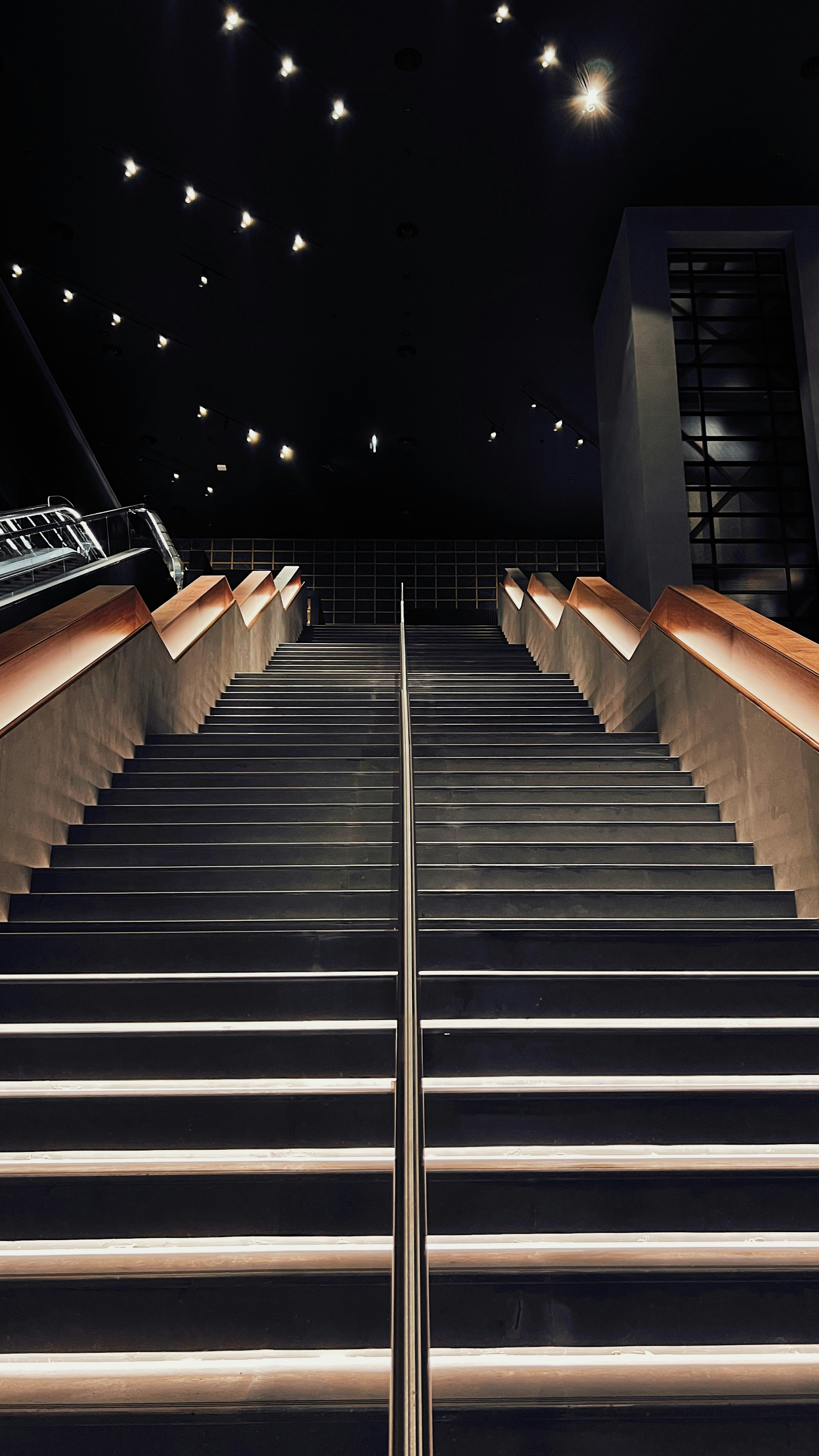 a set of stairs leading up to a building with lights