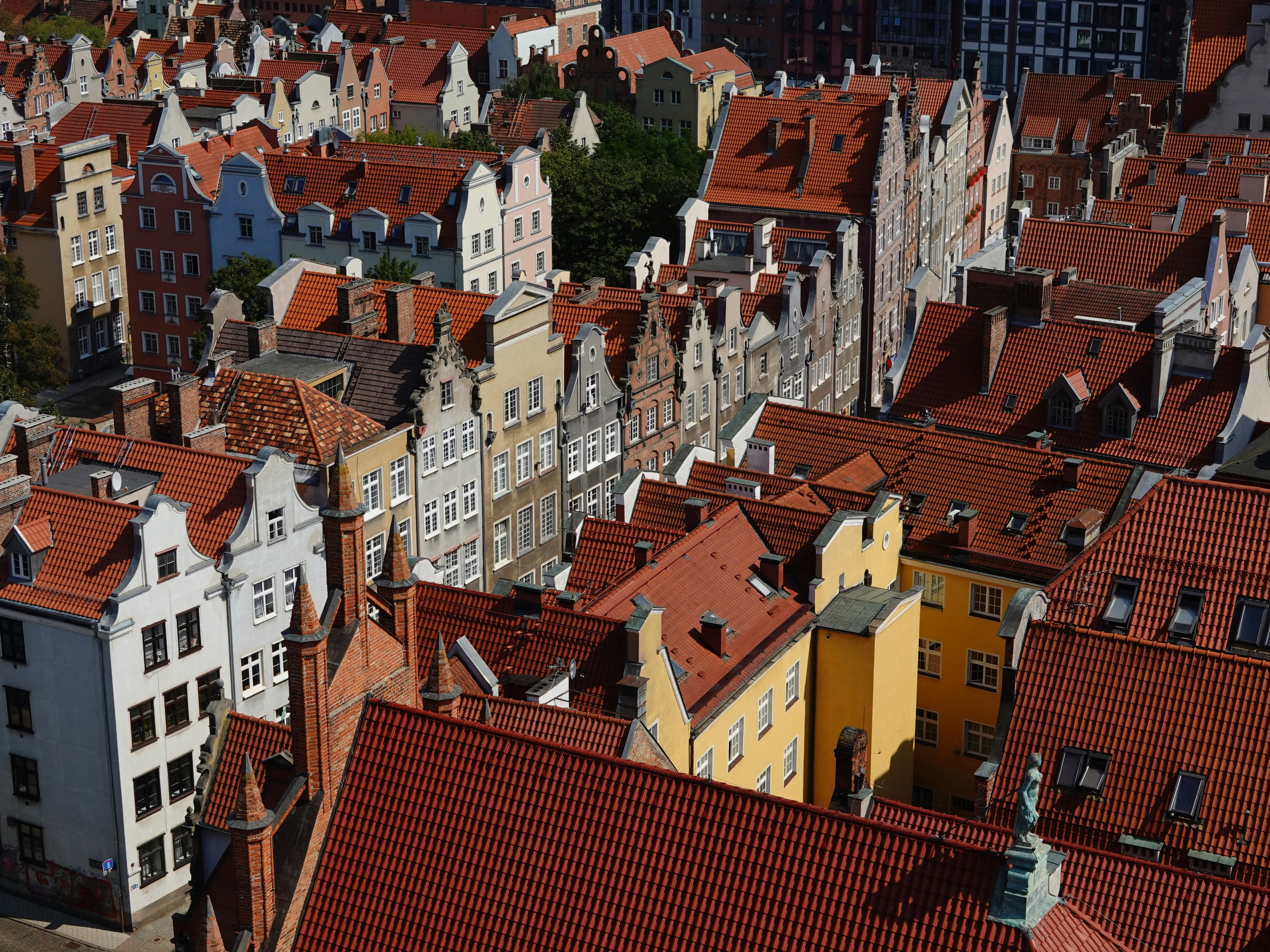 Photo by madmartigand