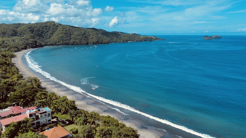 a beach with a building and trees