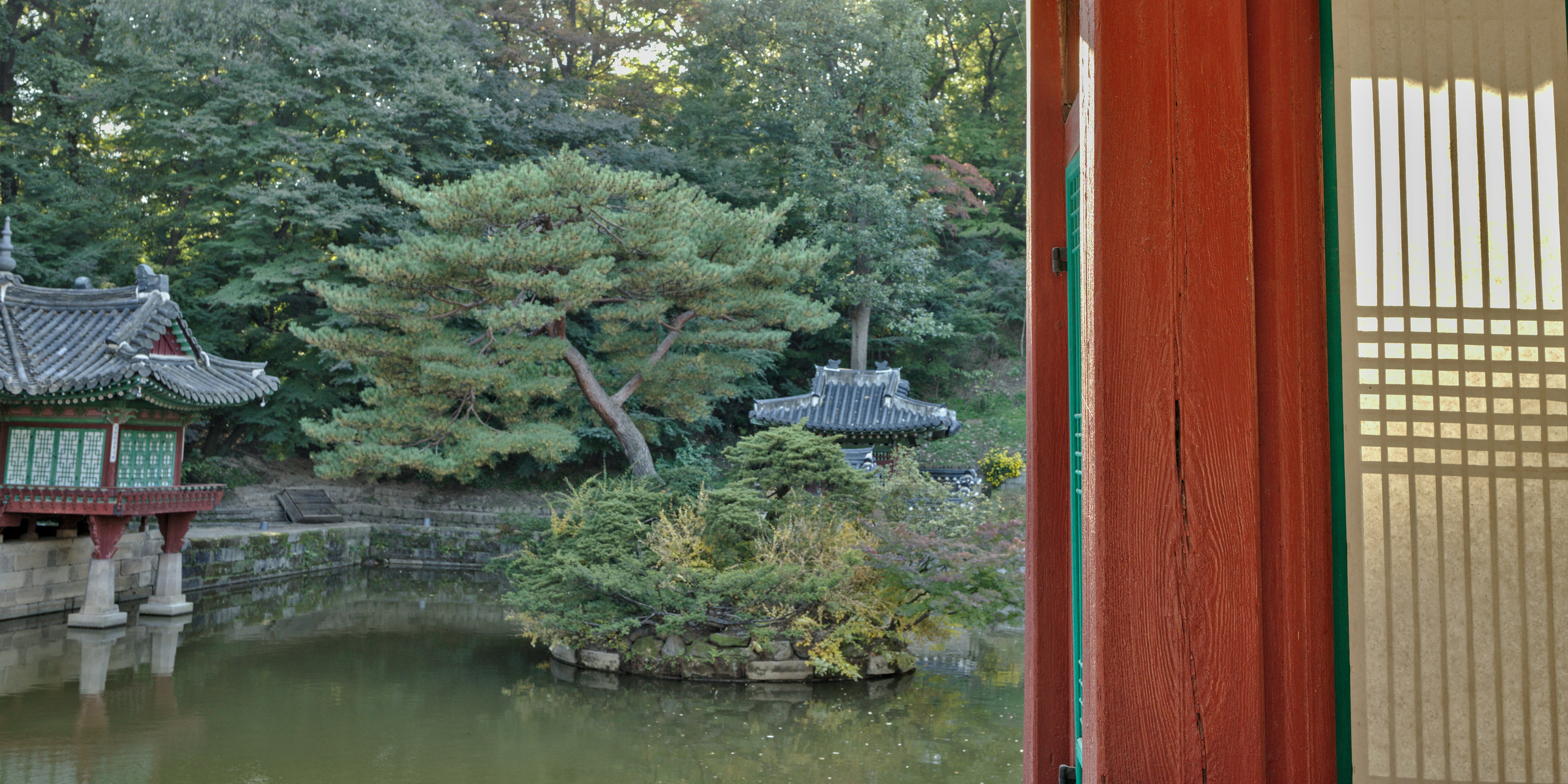 Photo by chromatograph