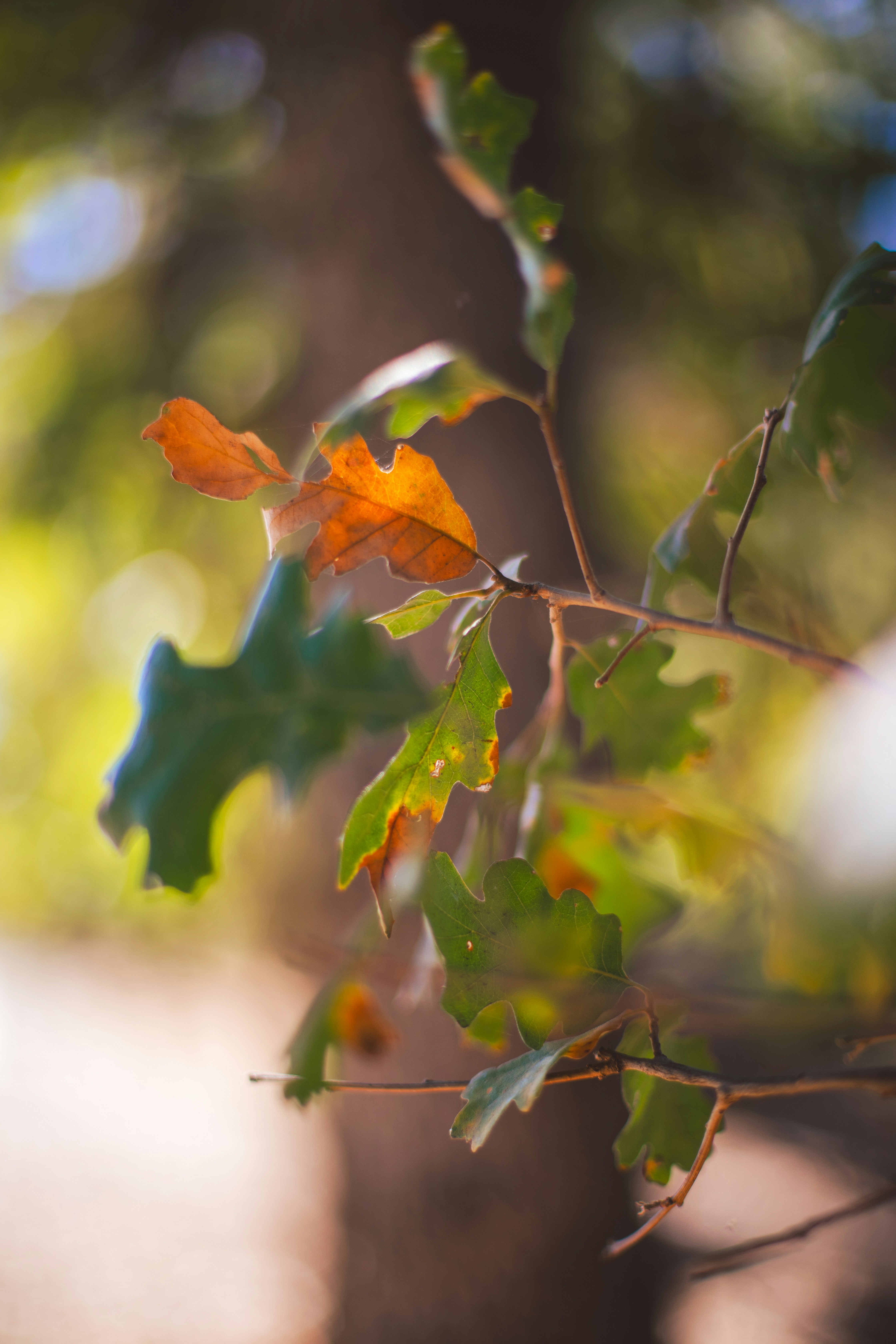 Photo by sixteenmilesout