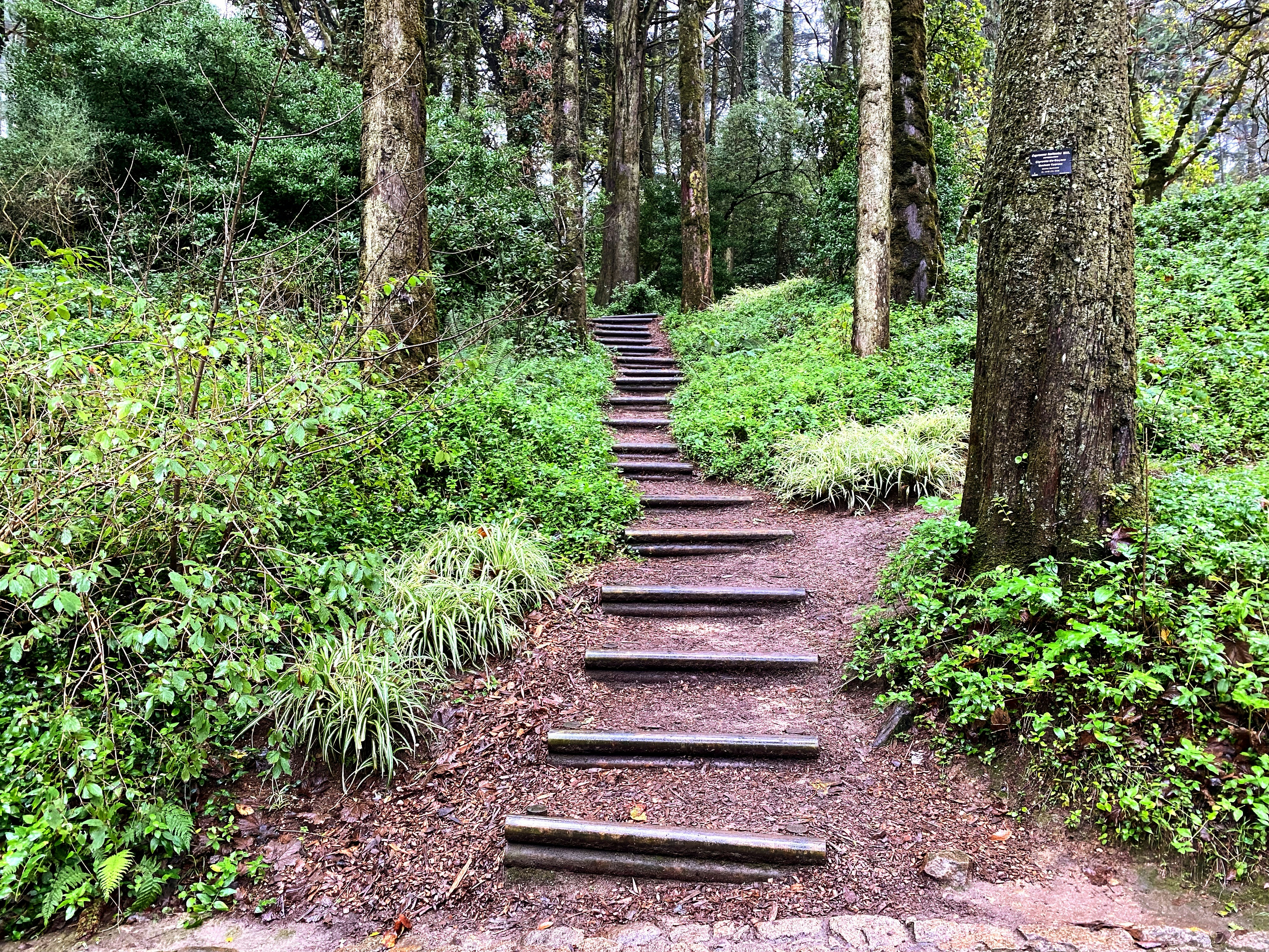 Photo by carlamjgomes