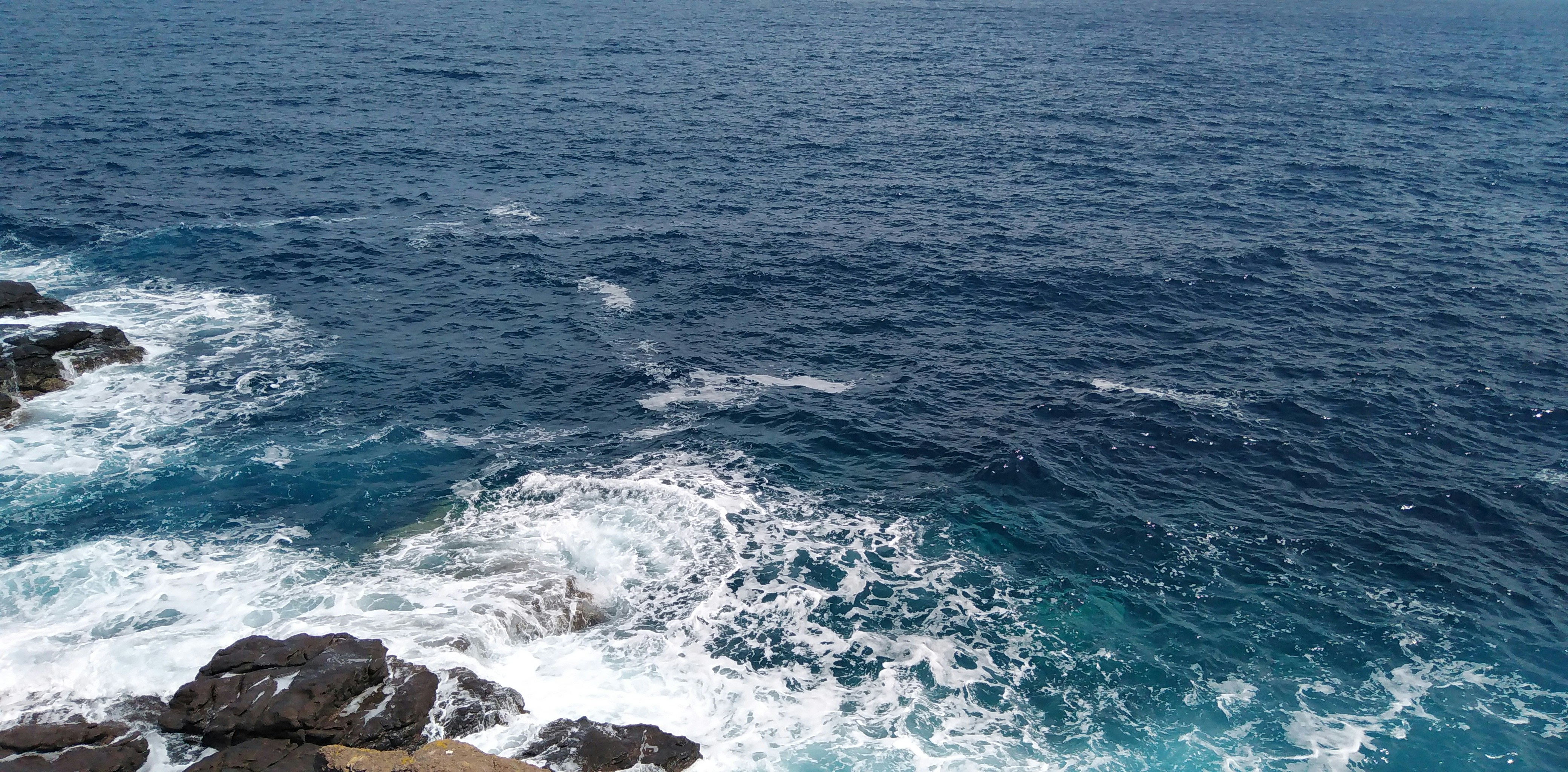 Photo by olgakoval11