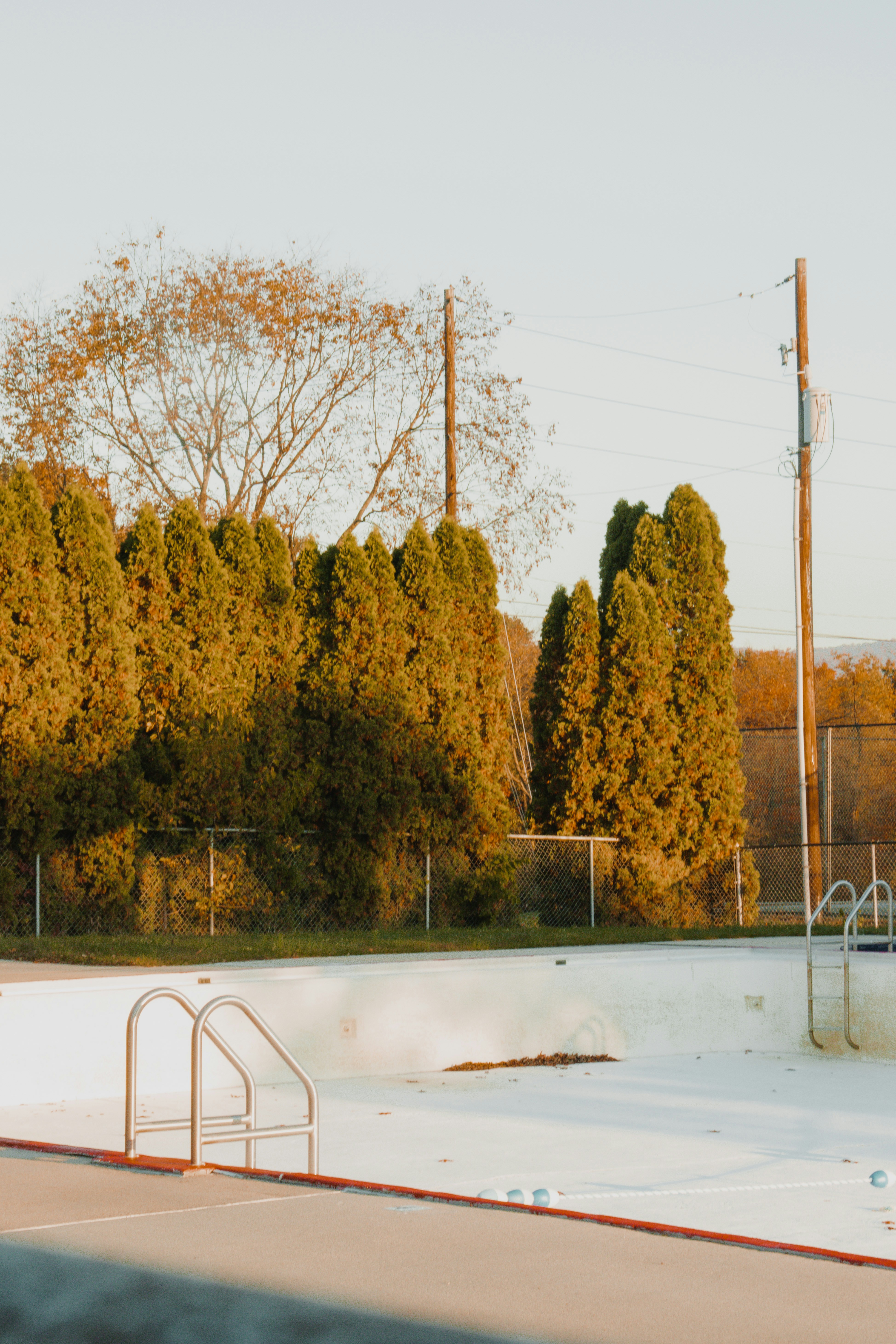 a group of trees behind a fence