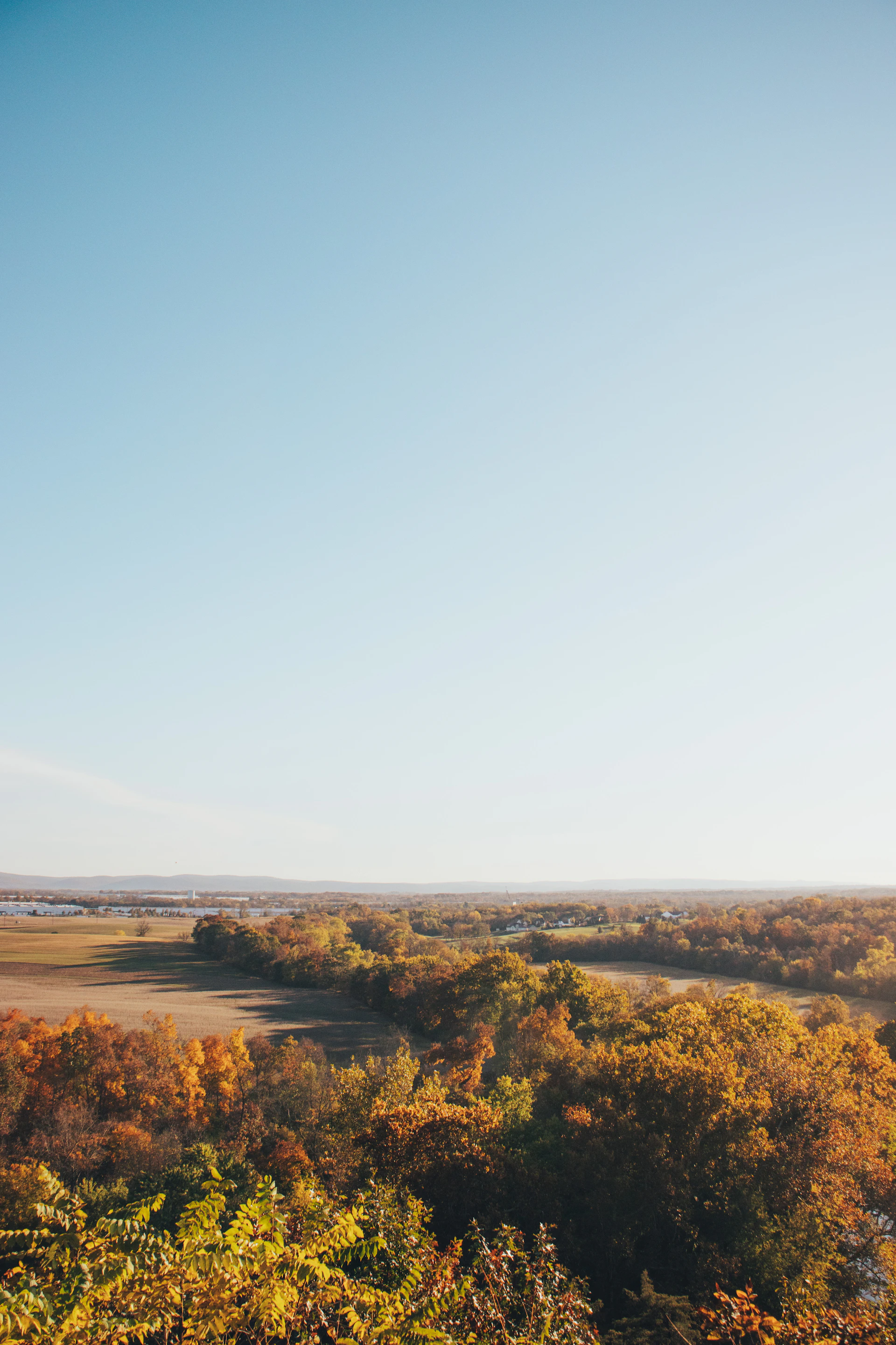 a landscape with trees and a body of water in the distance