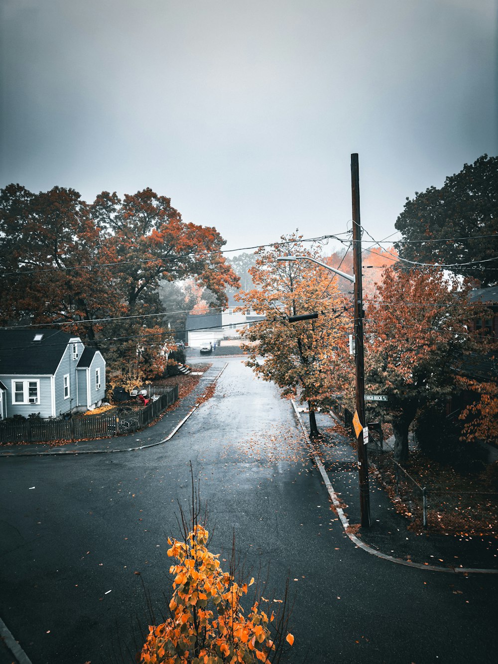 a street with trees on the side