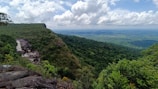 a landscape with trees and rocks