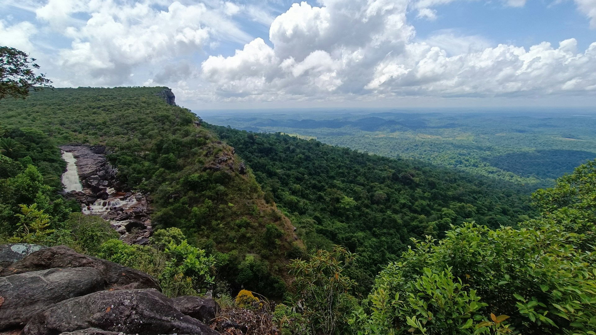 a landscape with trees and rocks