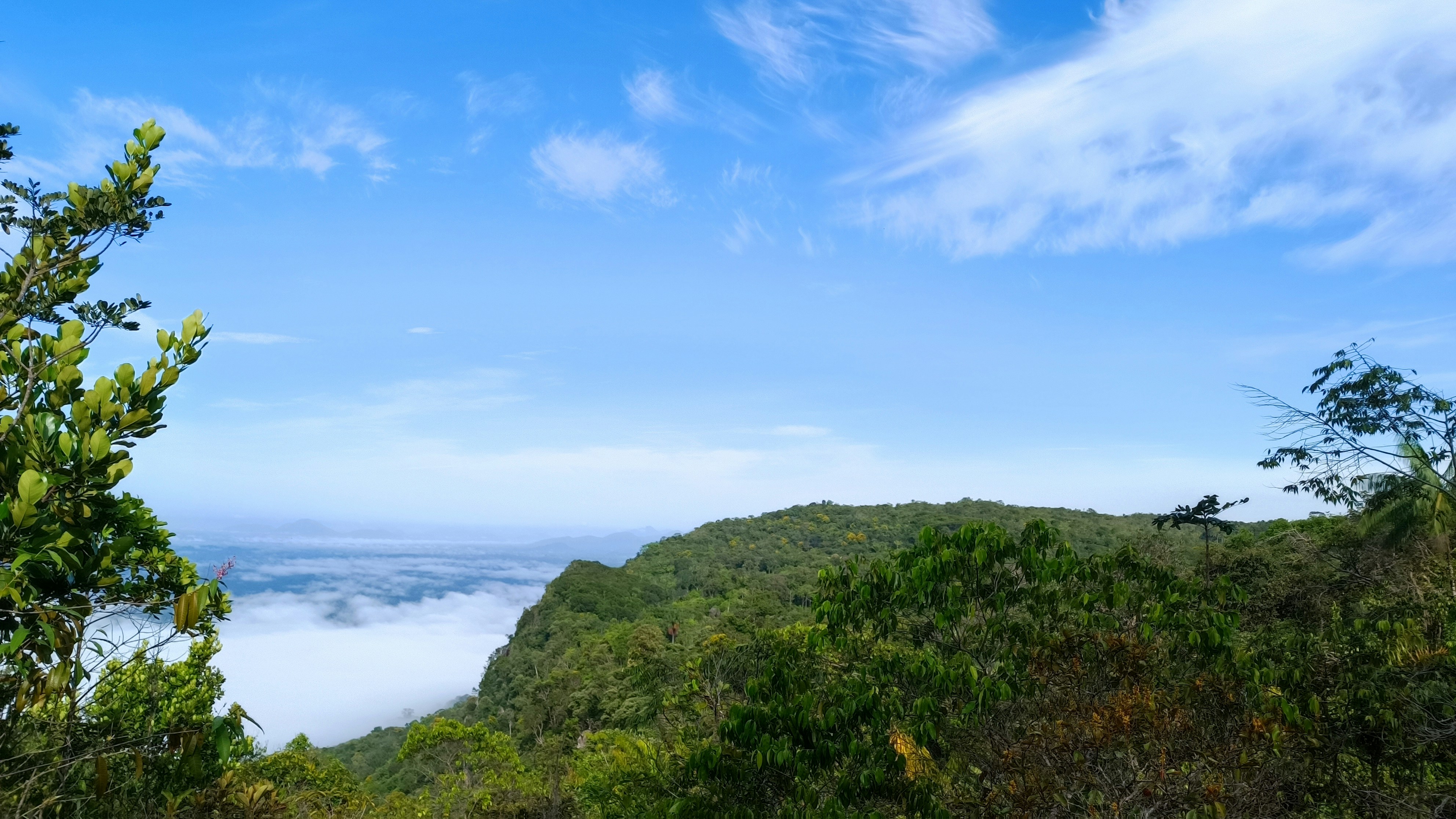 Photo by dienyportinanni