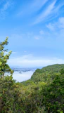 a view of a beach and ocean from a hill