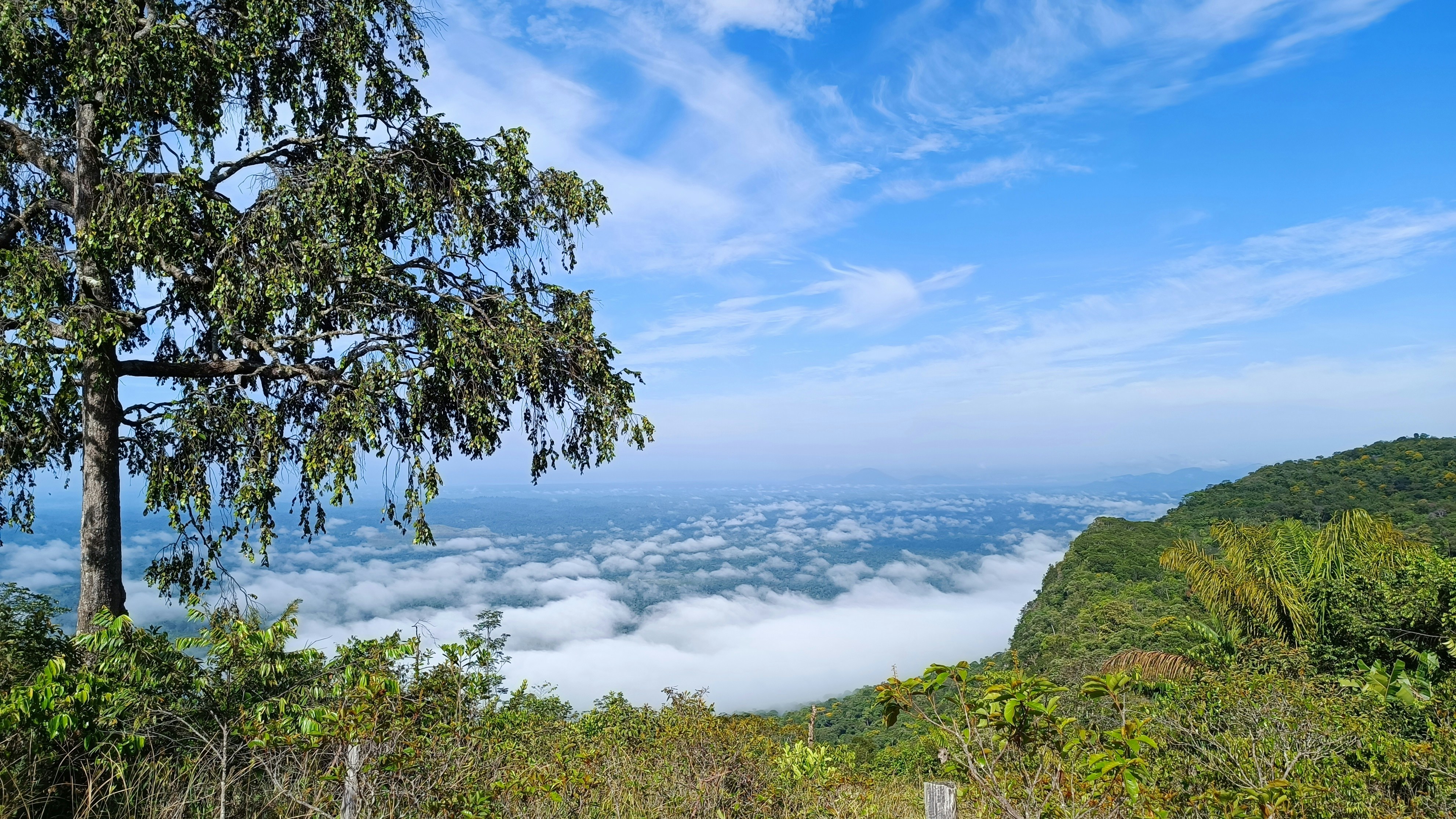 Photo by dienyportinanni