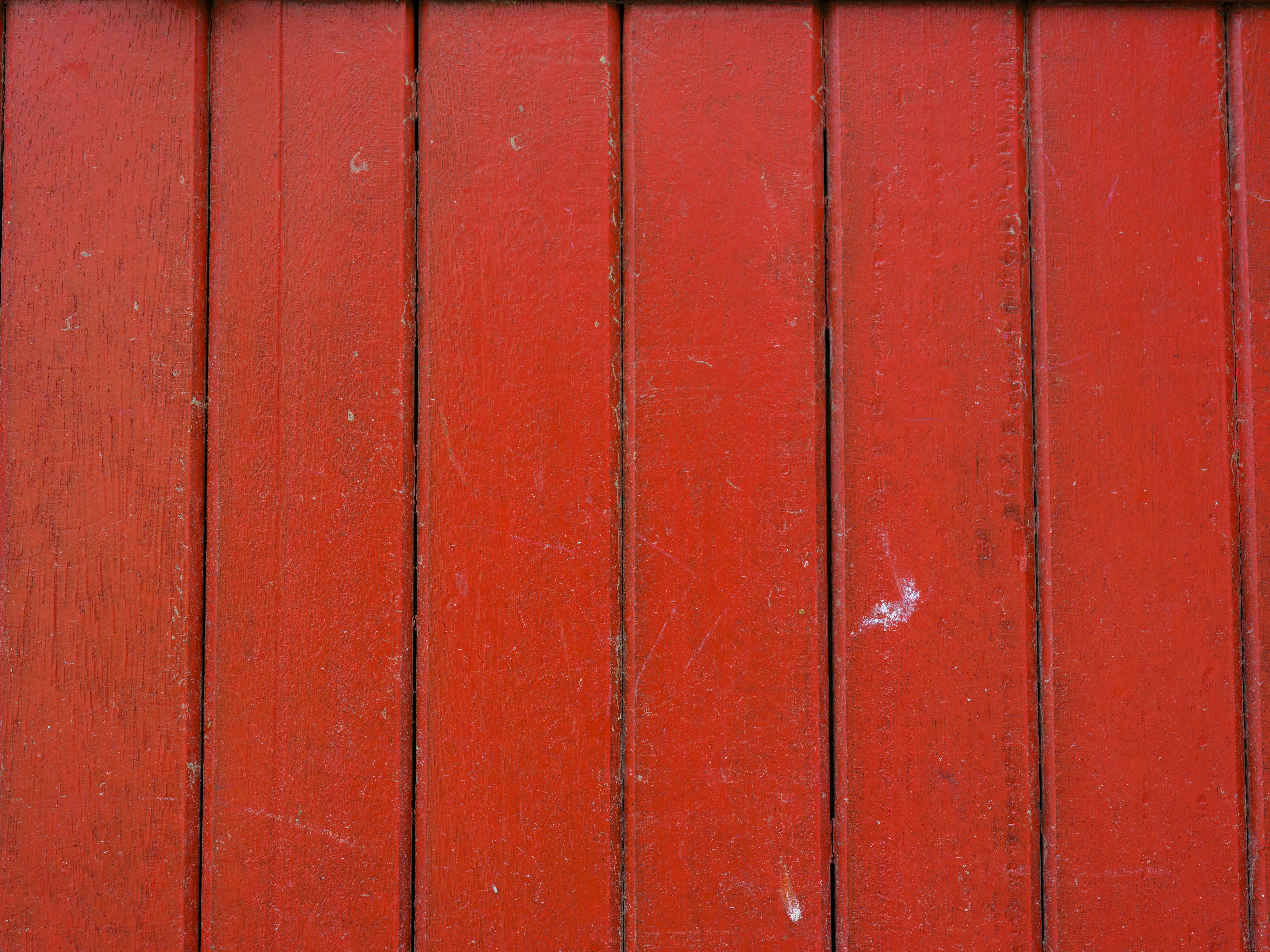 Photo by enginakyurt