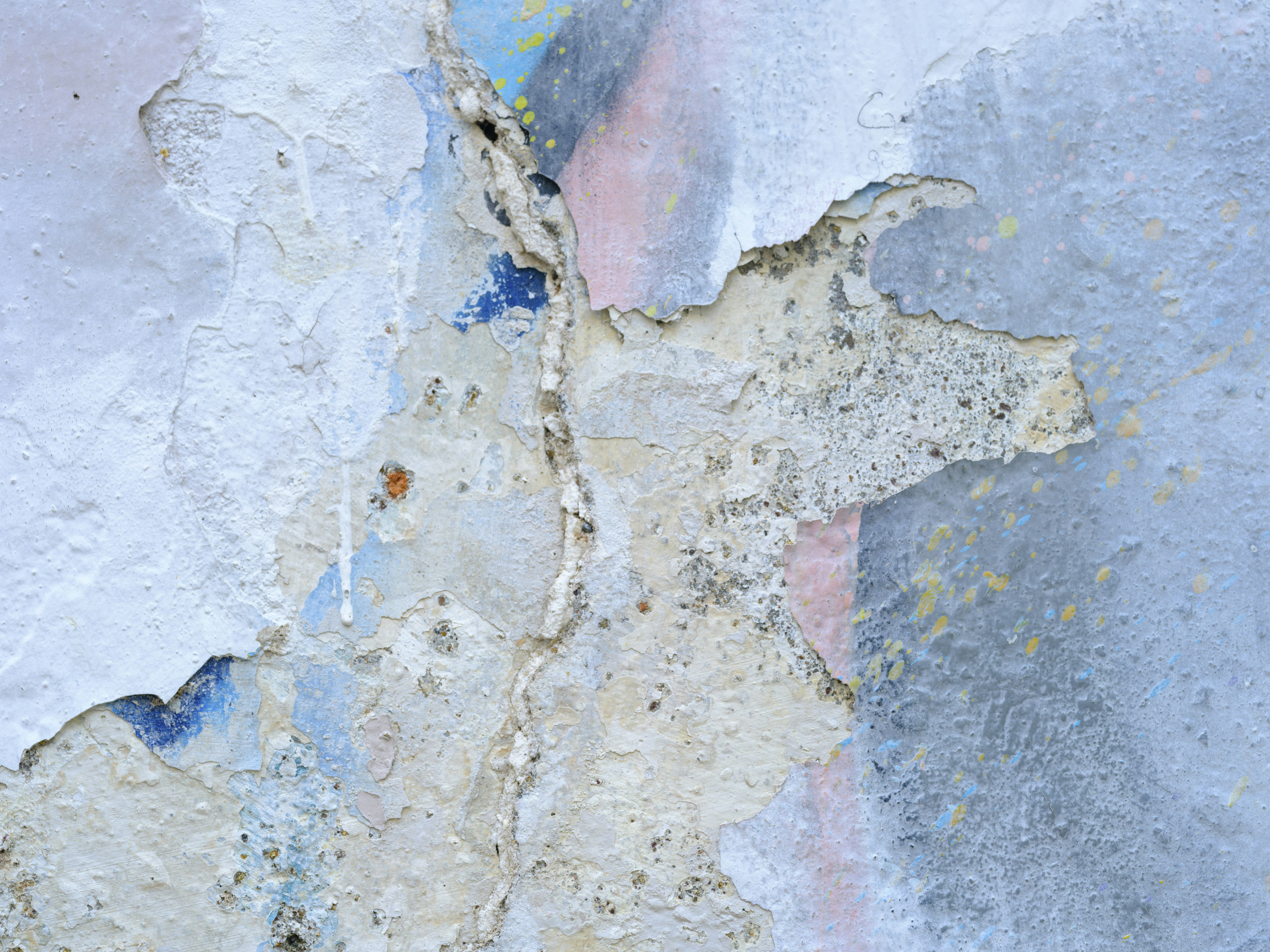 Navigating Home Exterior Upkeep in the Pacific Northwest