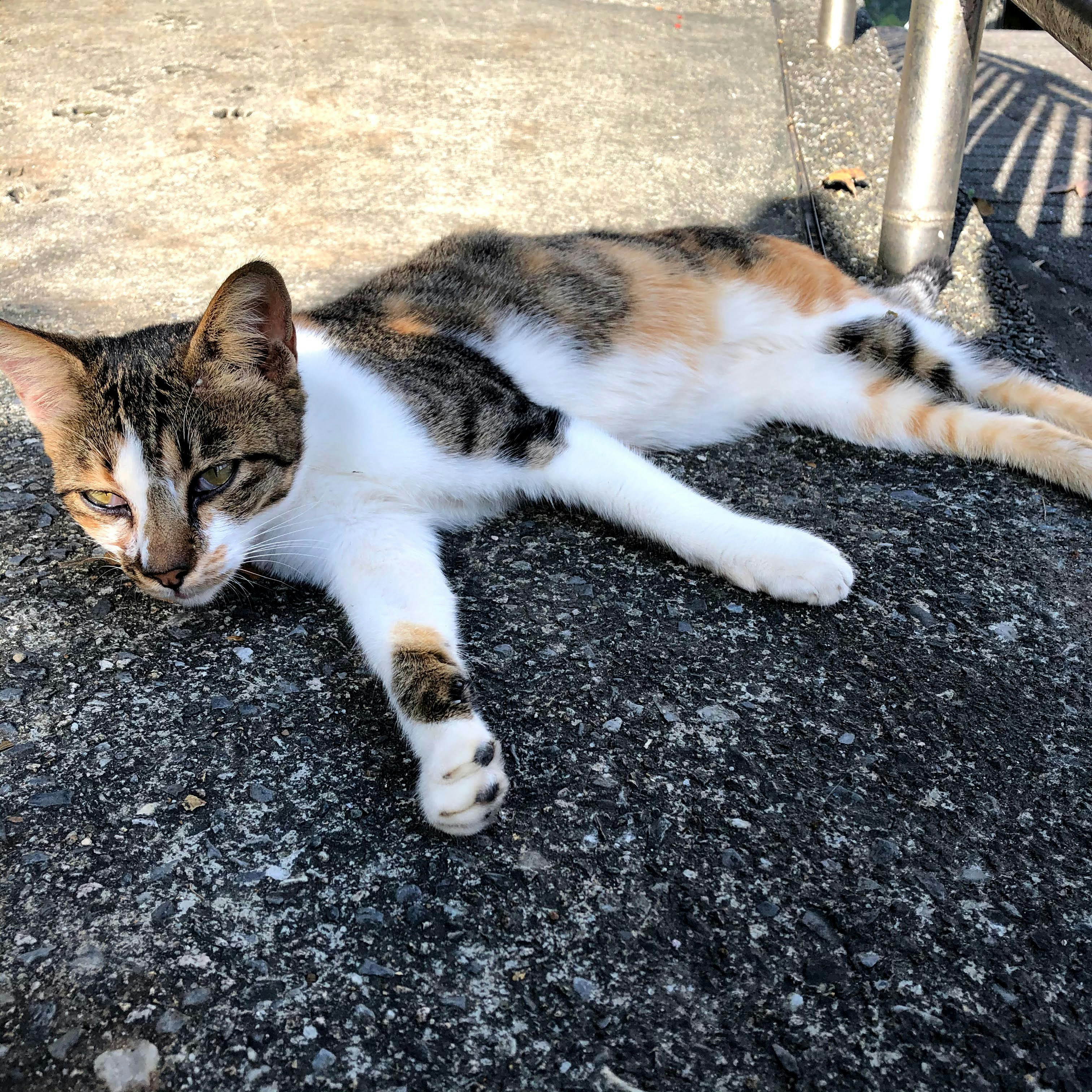 Photo by destroymayor