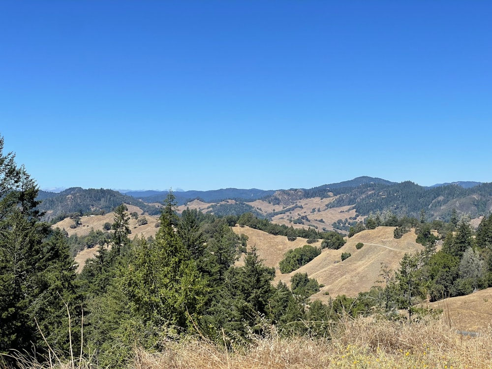 a landscape with trees and hills