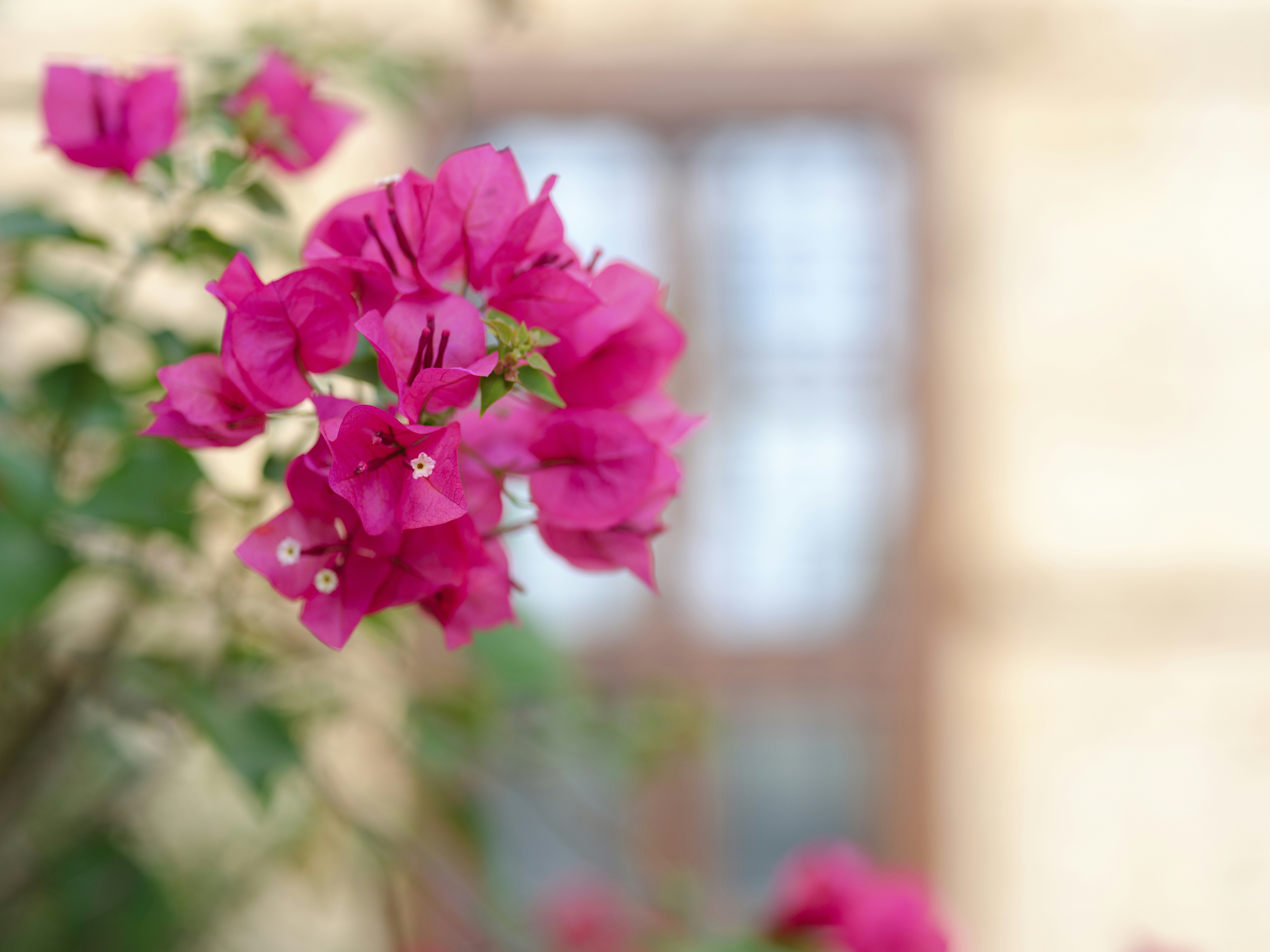 Photo by enginakyurt