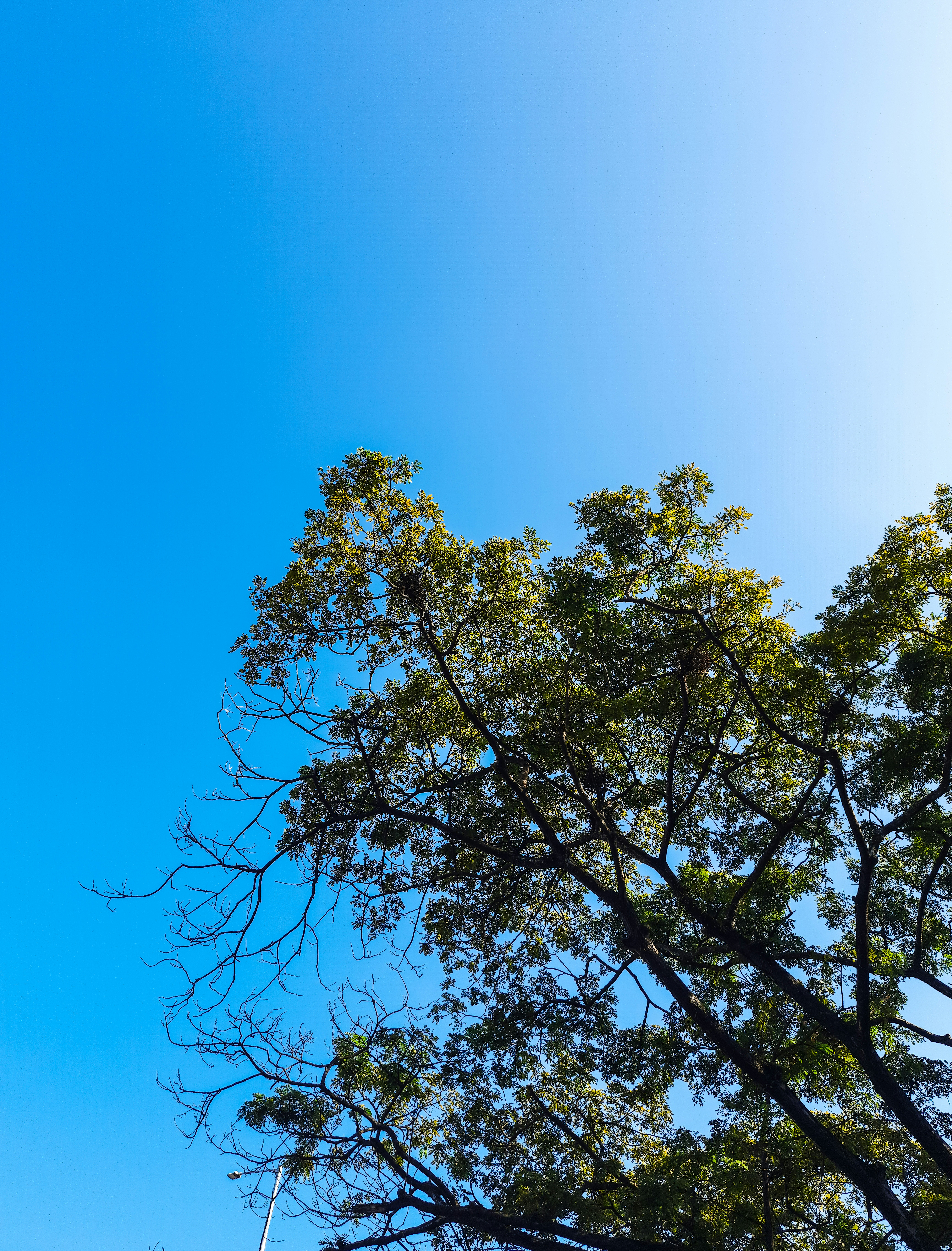 Photo by zablanca_clicks