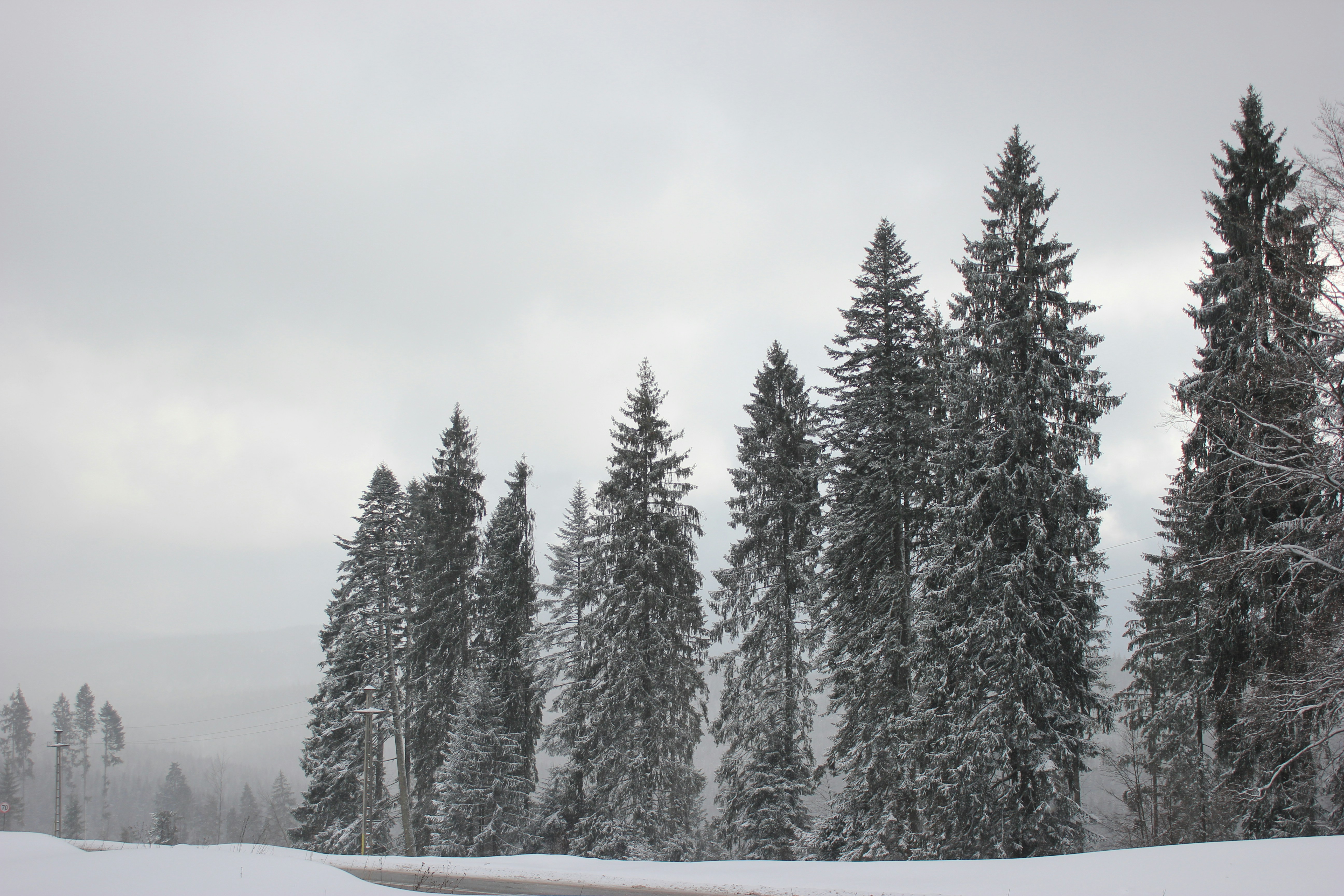 Photo by argintviu888