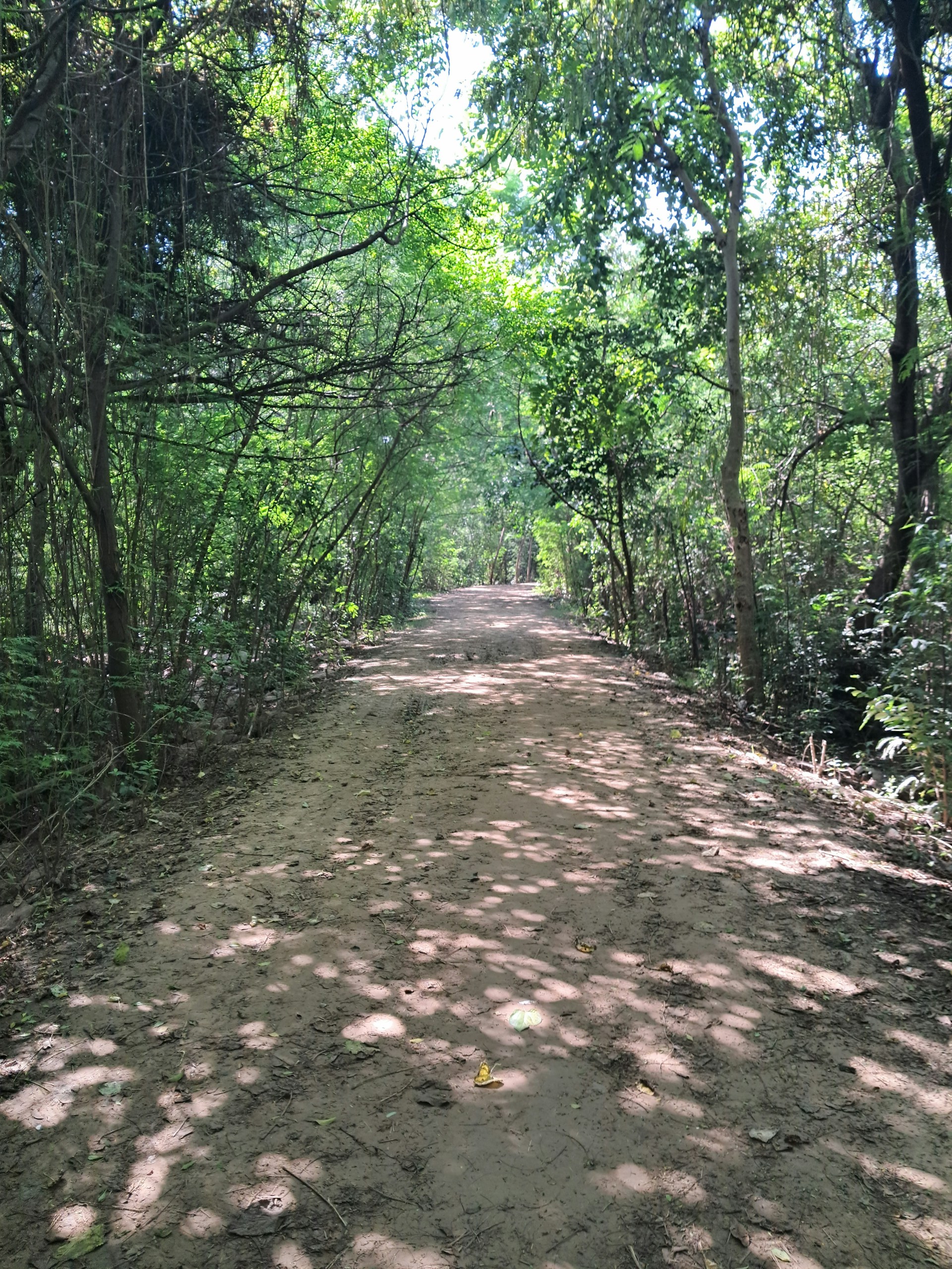 woman wearing yellow long-sleeved dress under white clouds and blue sky during daytime