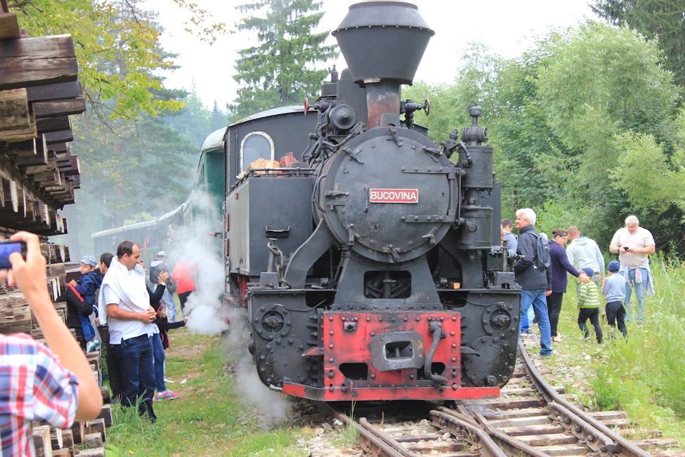 Un train sur les rails