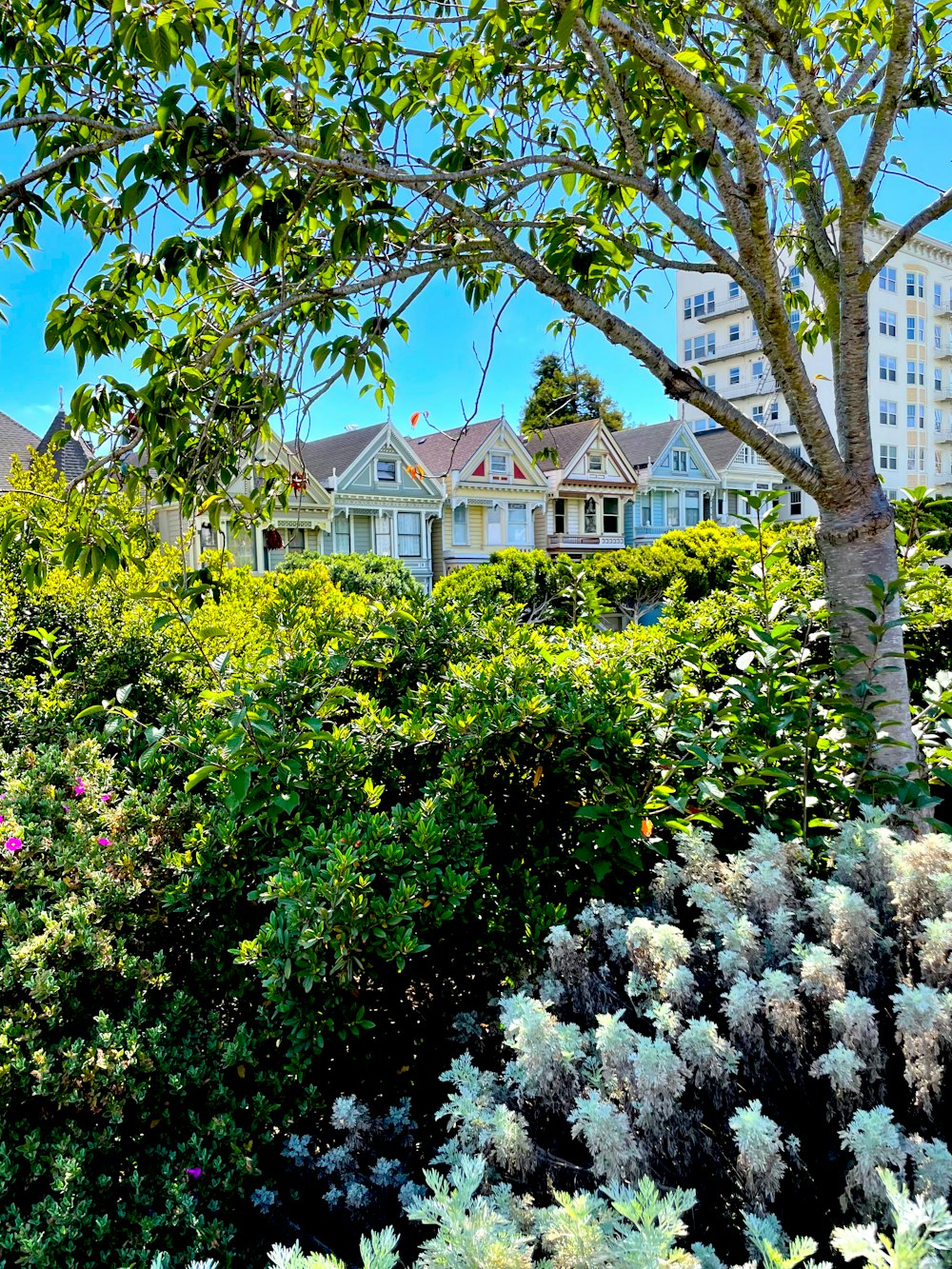 a group of trees with a building in the background