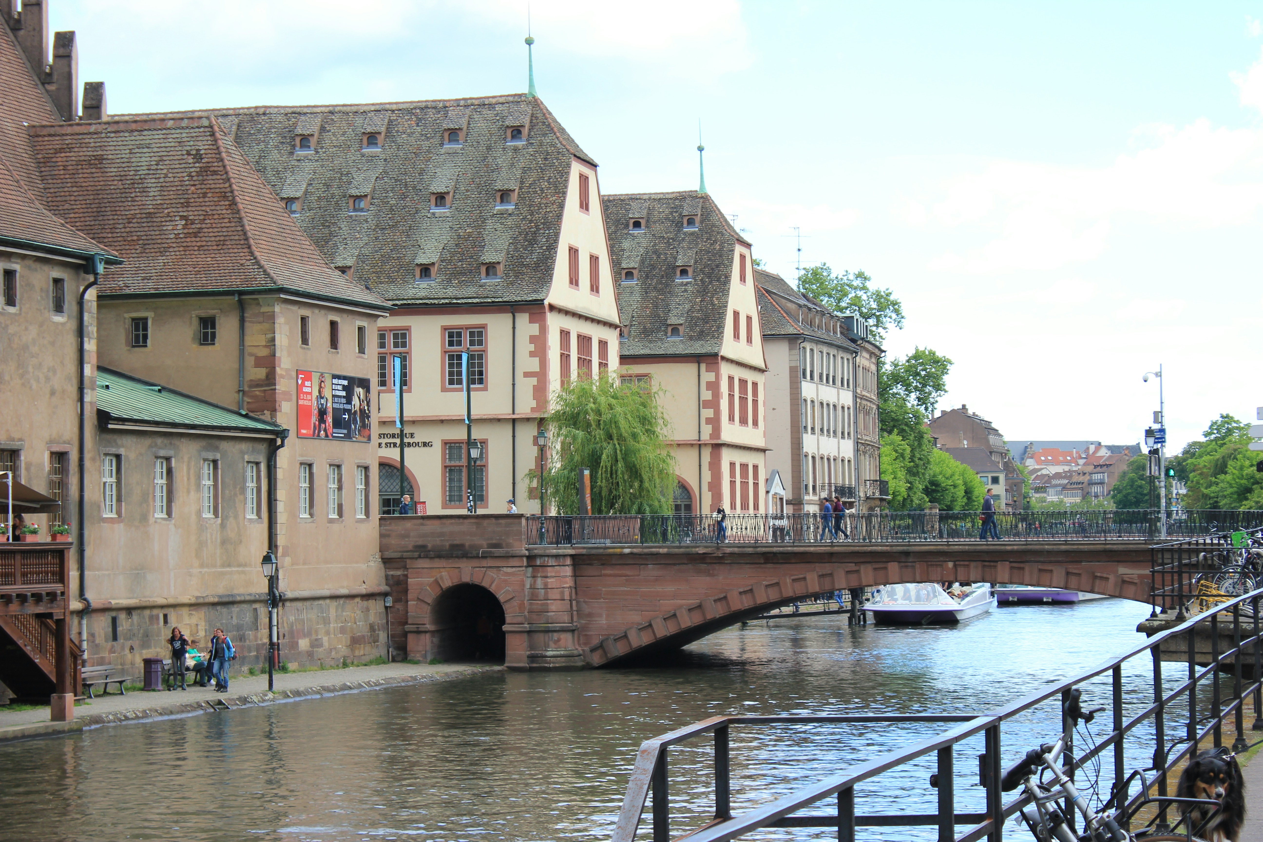 Photo by argintviu888