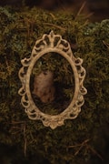A vintage, ornate, oval picture frame with intricate designs surrounds a dried leaf. The frame is resting against a background of lush, green moss and foliage, creating a contrast between the rustic frame and the natural surroundings.