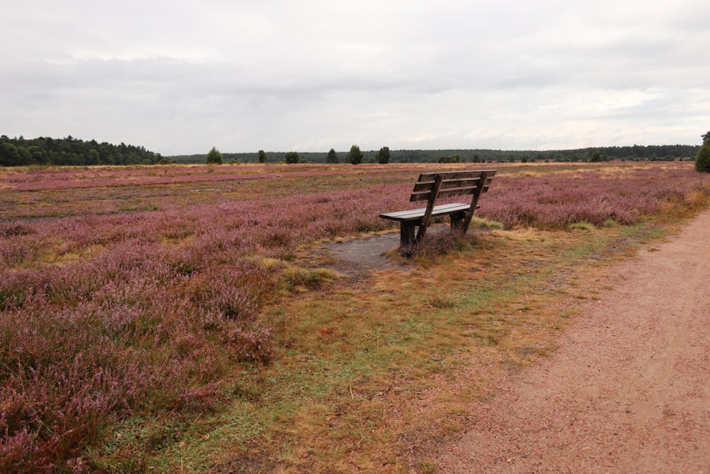 a bench in a field