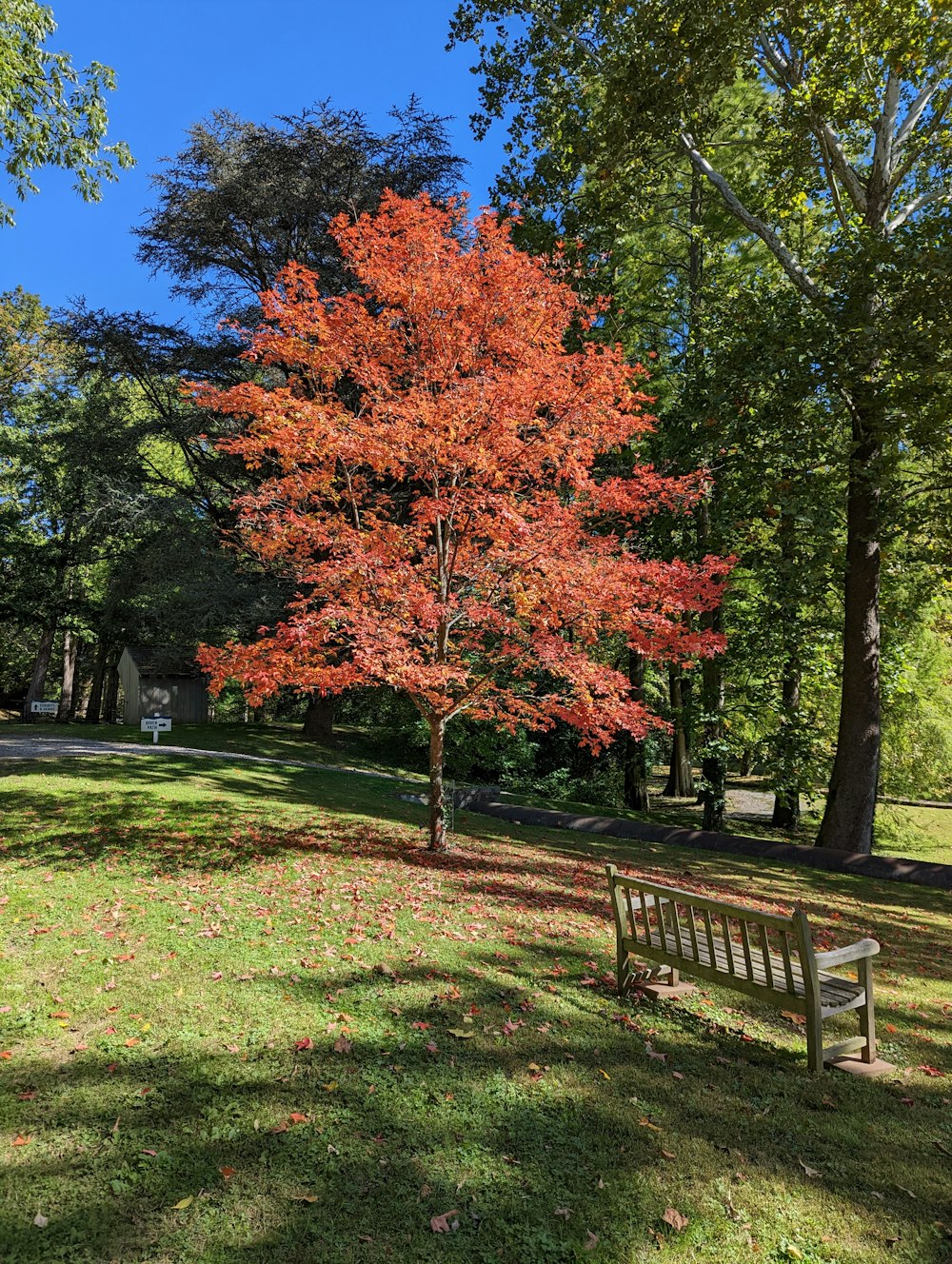 a bench in a park