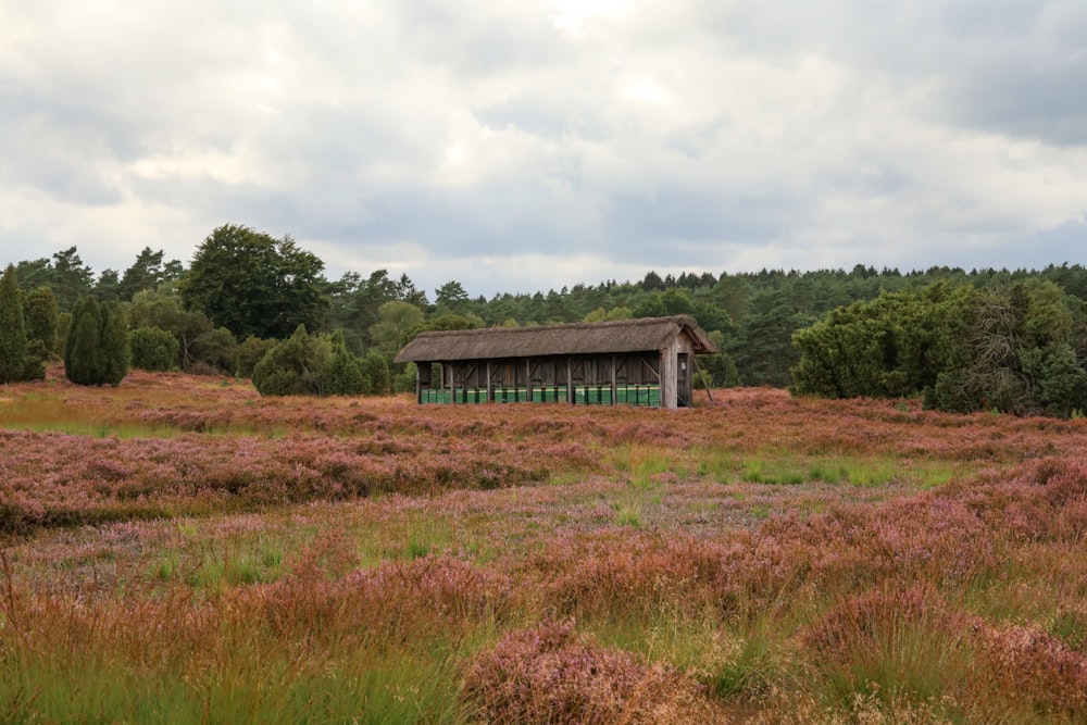 a building in a field