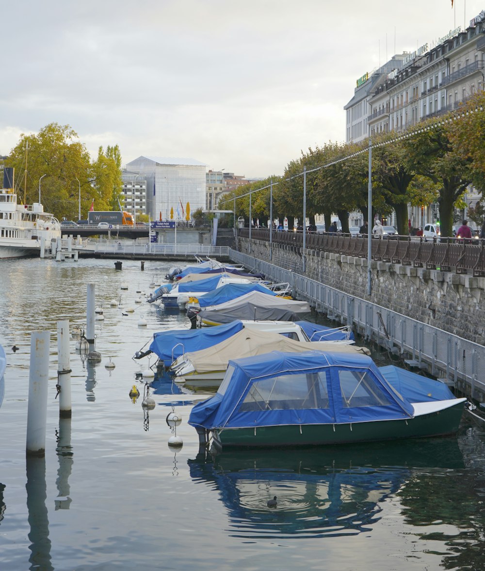 boats docked at a pier