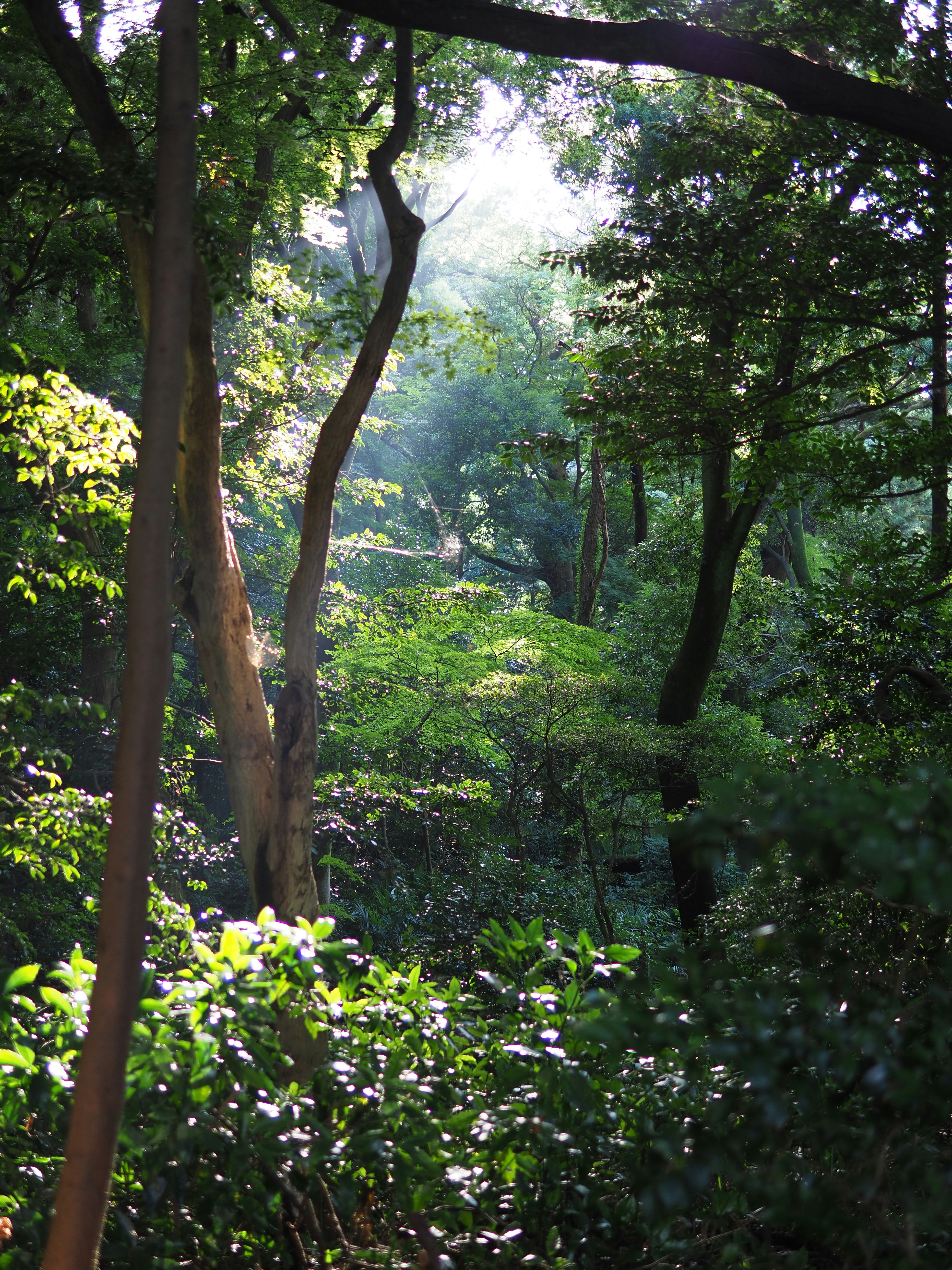 Photo by kohsaka1719