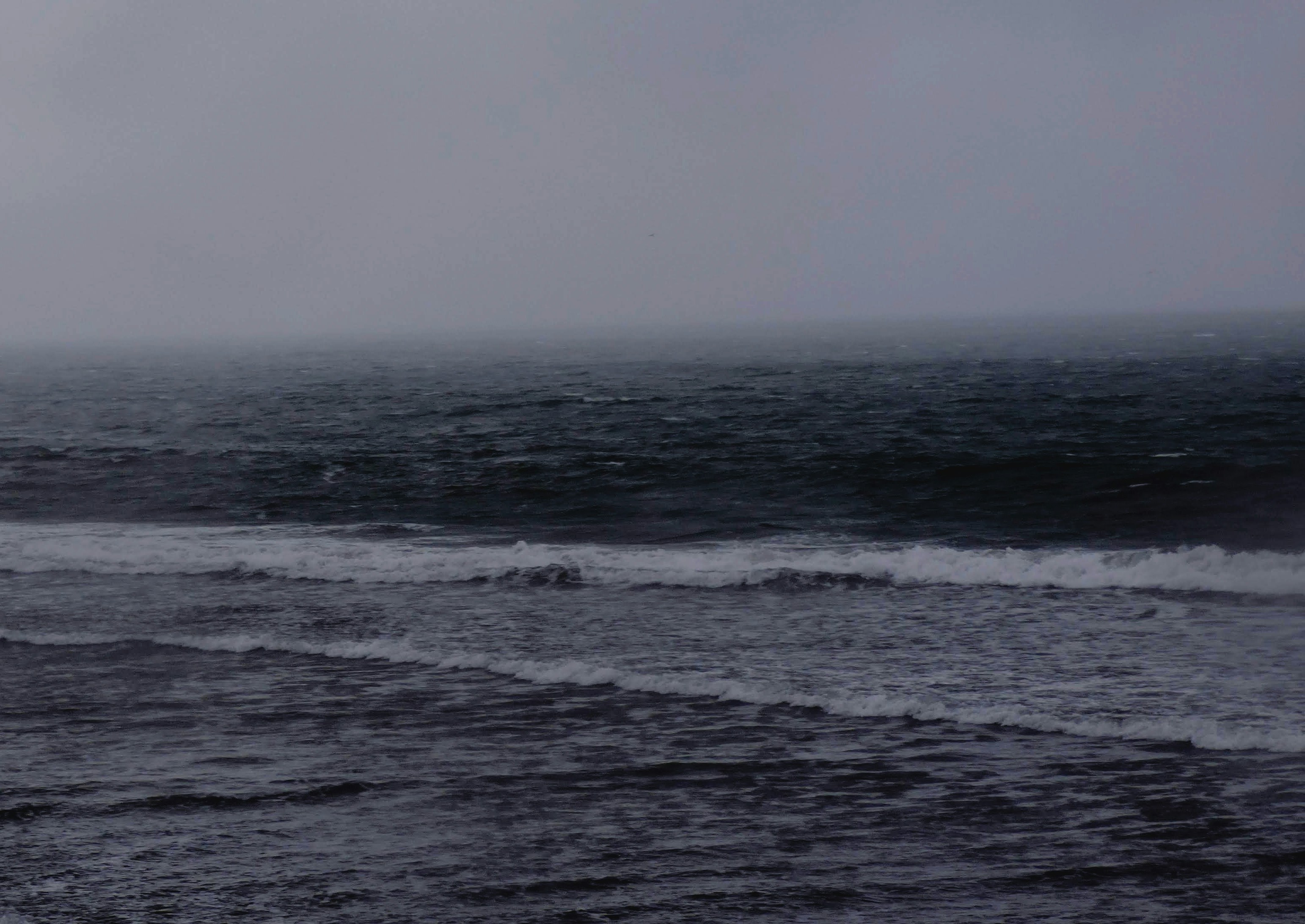 Photo by fastermaster0