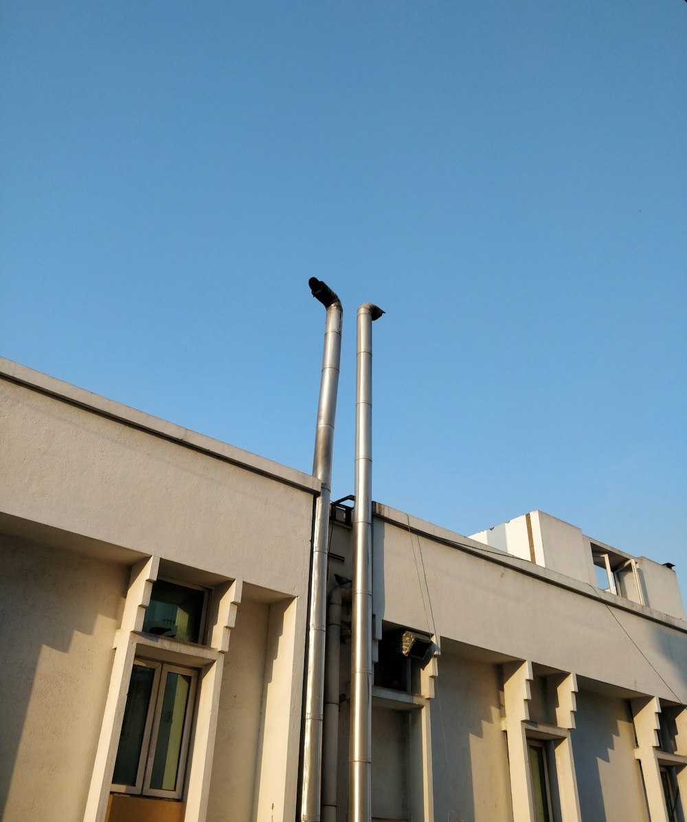 a bird on a pole