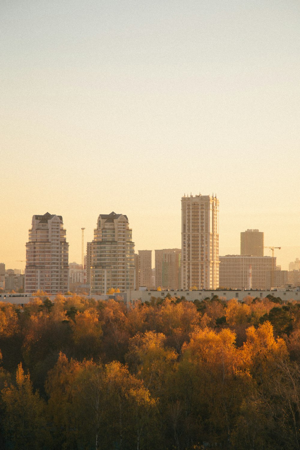 a city skyline with trees in front of it