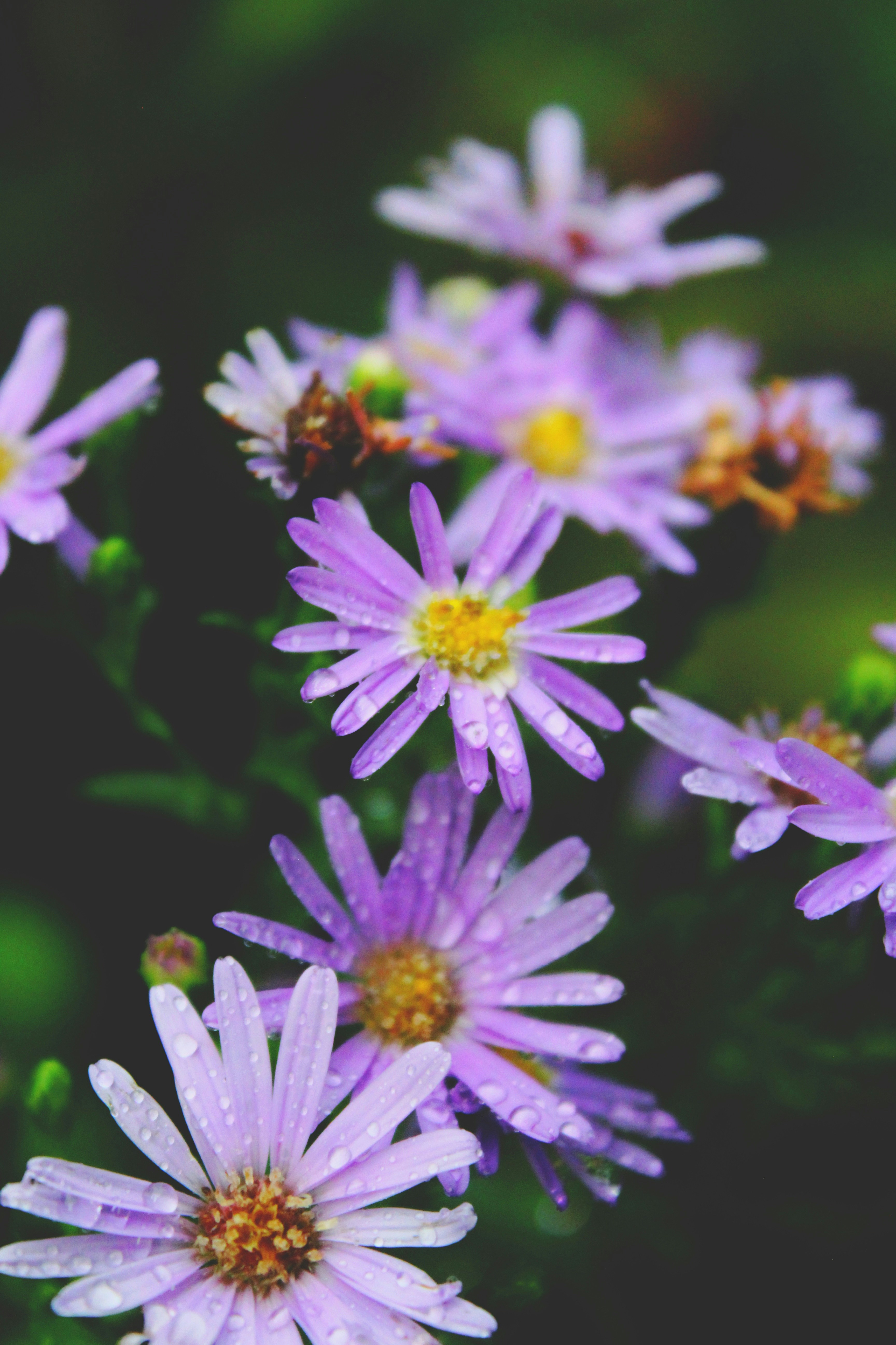 Photo by adhishot__23