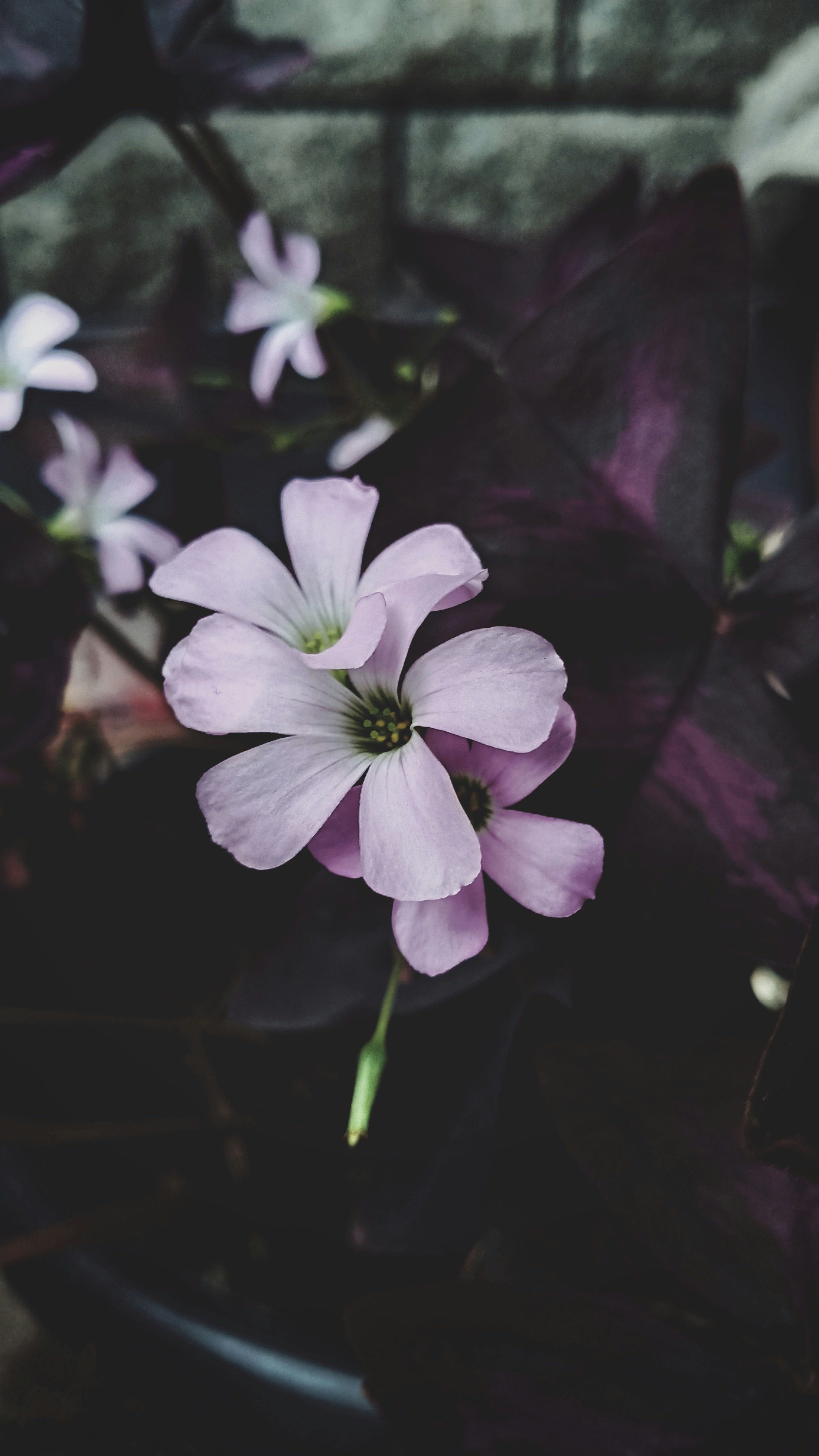 Photo by adhishot__23