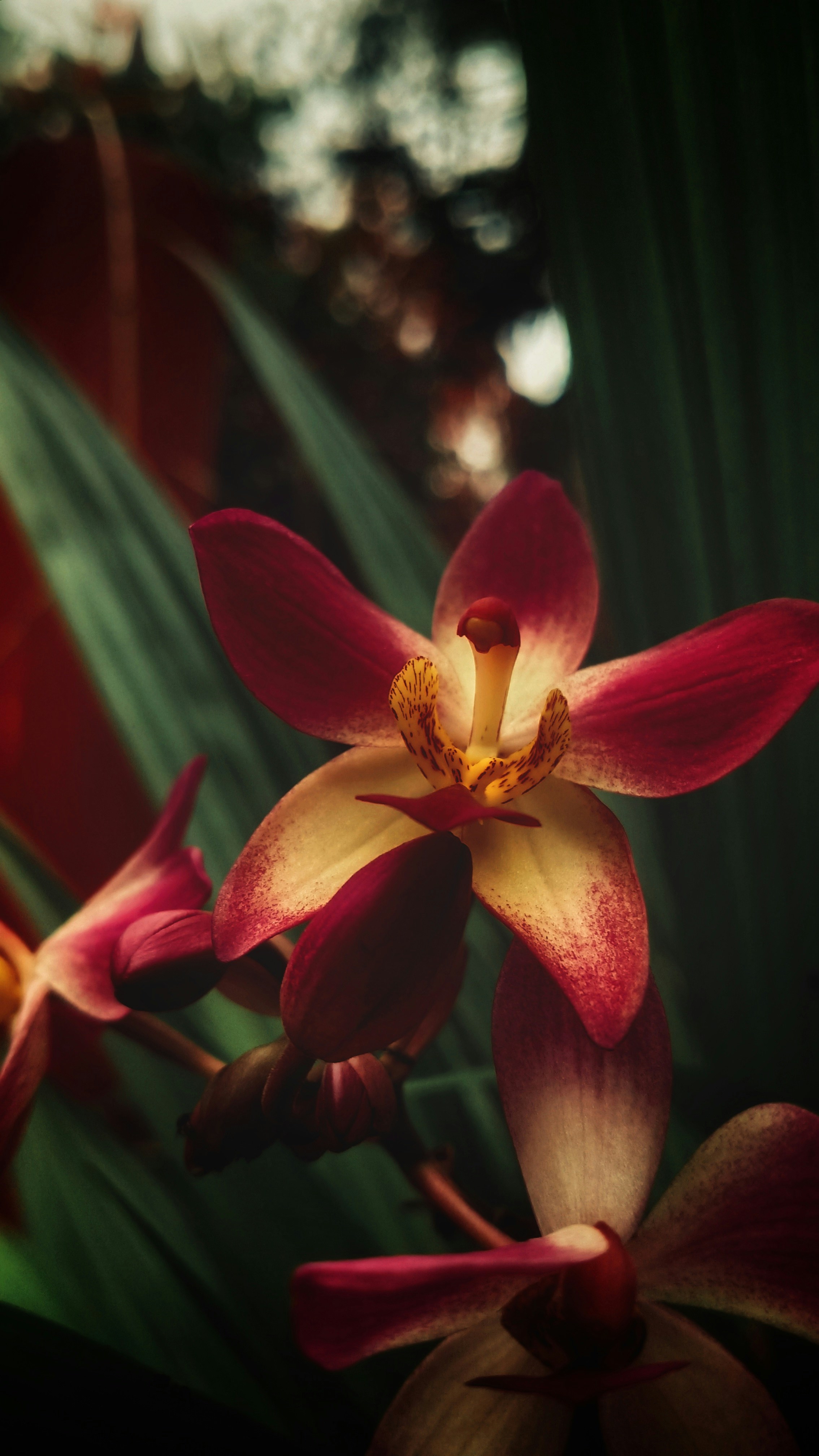 Photo by adhishot__23