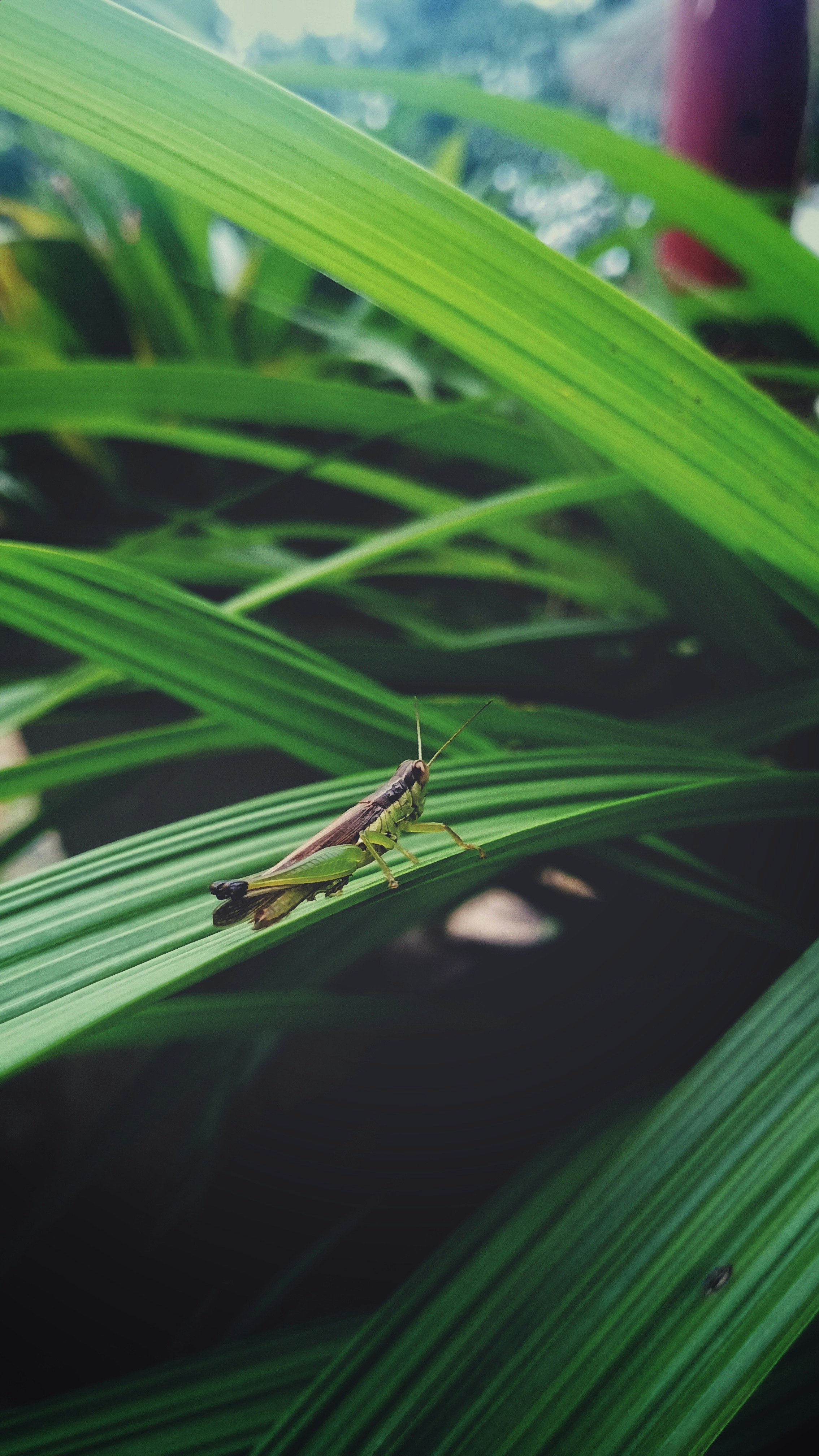 Photo by adhishot__23