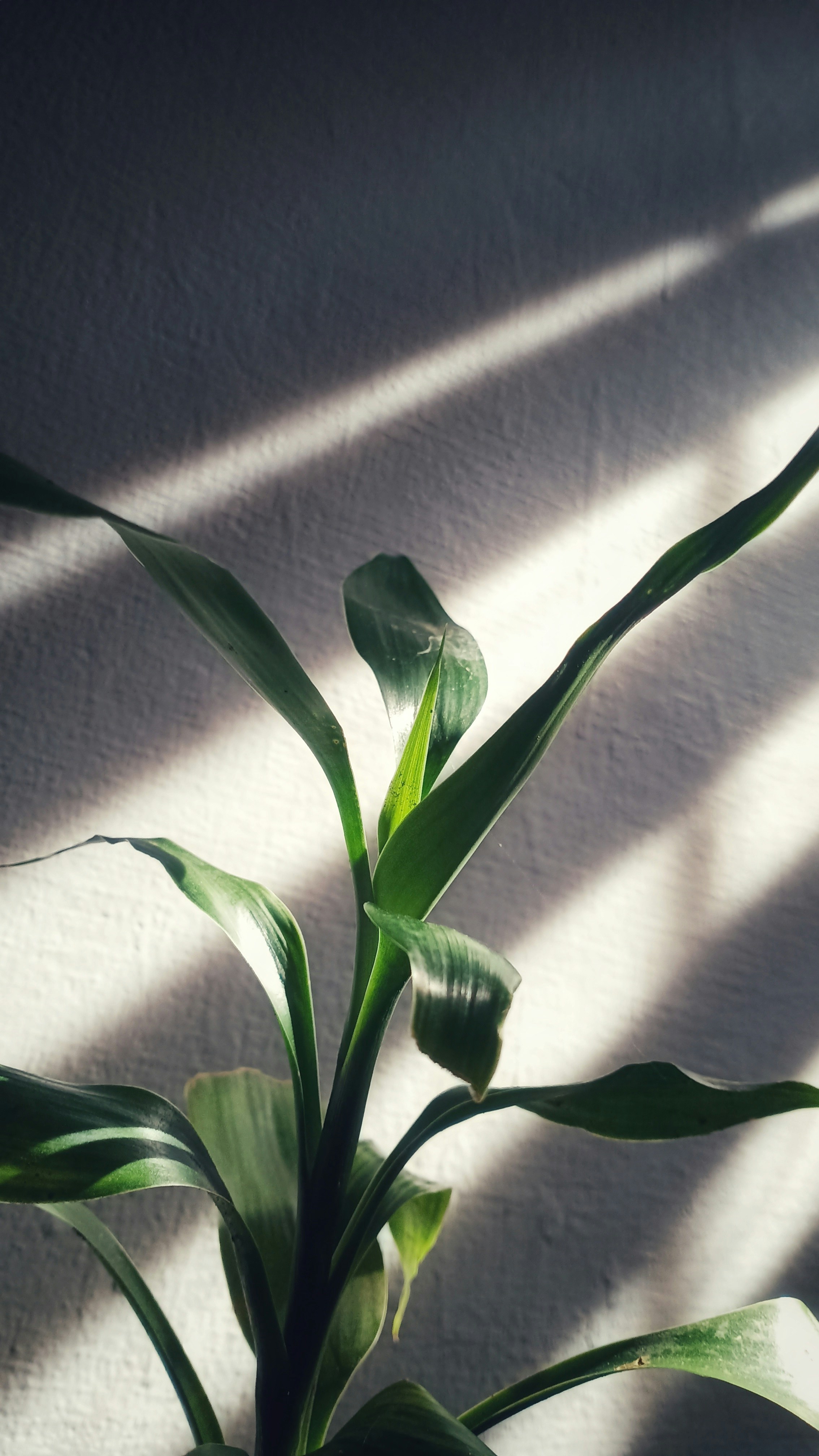 Photo by adhishot__23