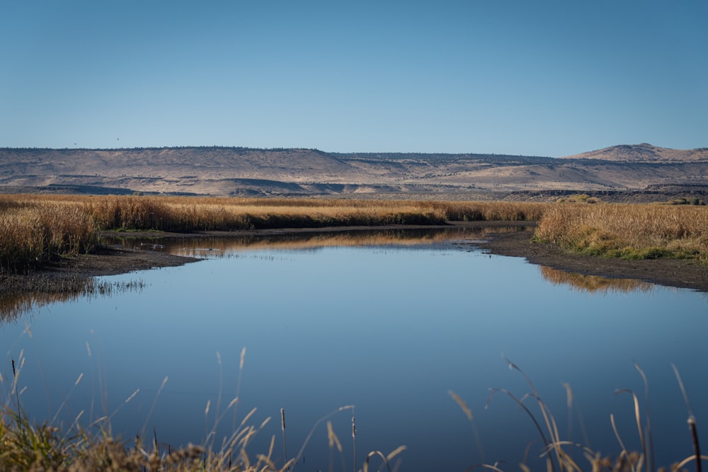 un plan d’eau avec de la terre à l’arrière