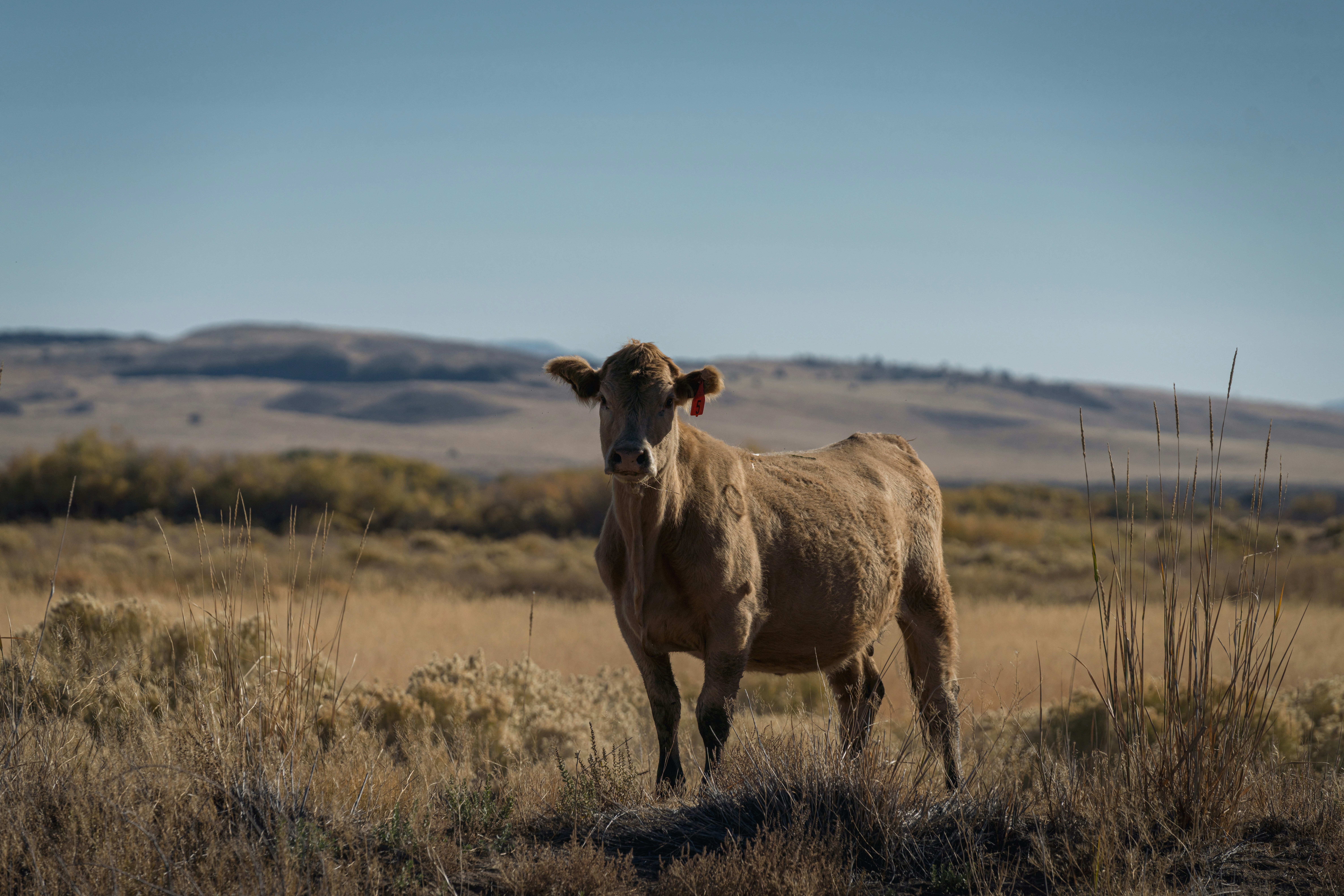 Photo by lauraintacoma