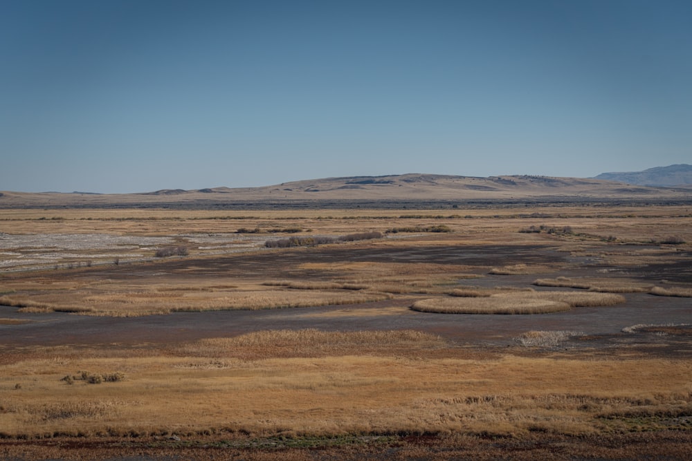 a large desert landscape