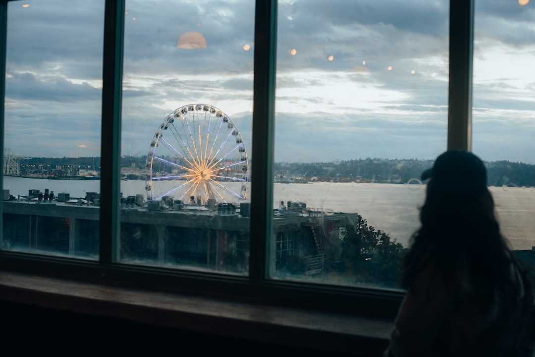 a person looking out a window at a ferris wheel