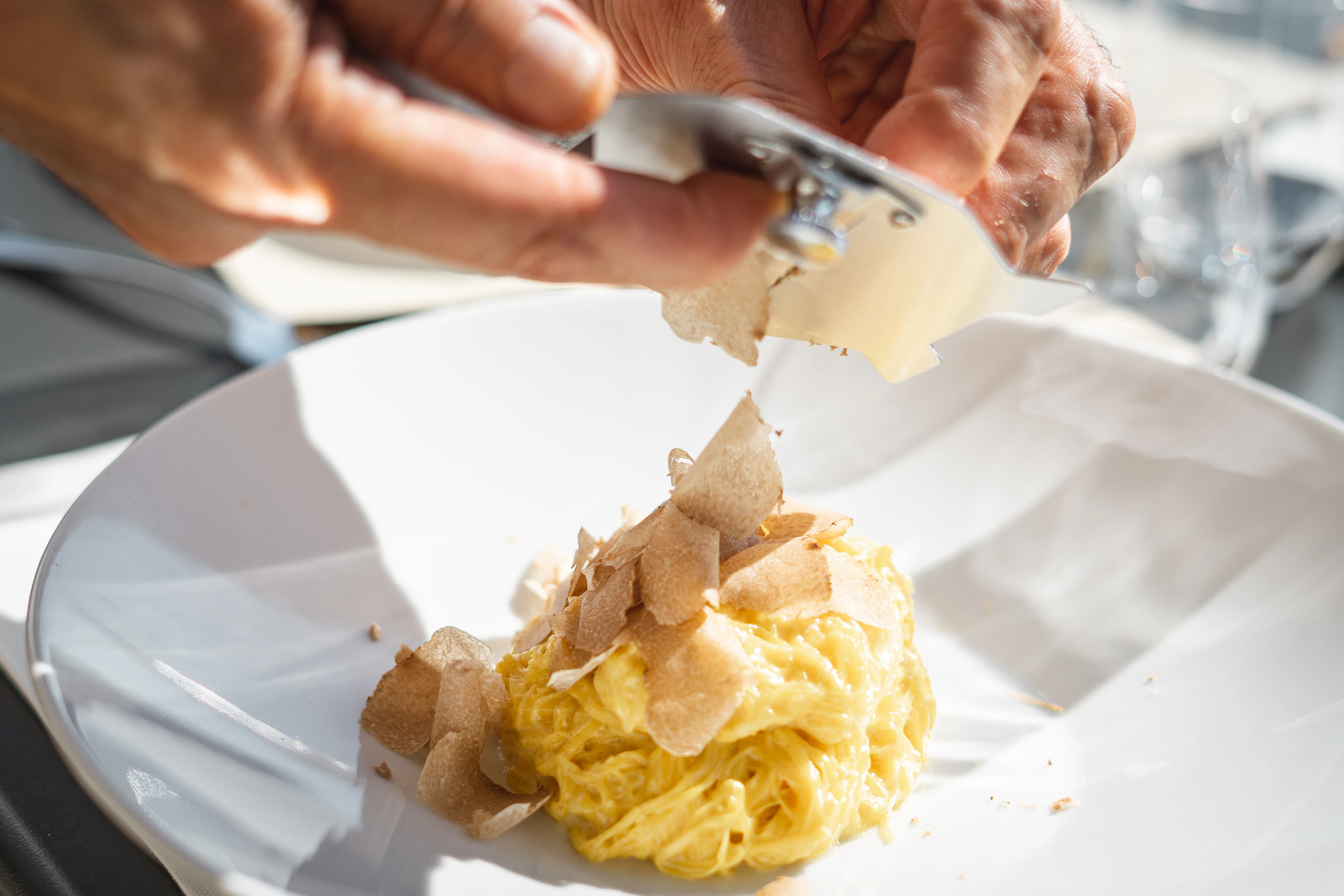 White Alba truffle being shaved over a nest of golden tajarin egg pasta on a white plate, the classic Piedmont dish served in the Langhe