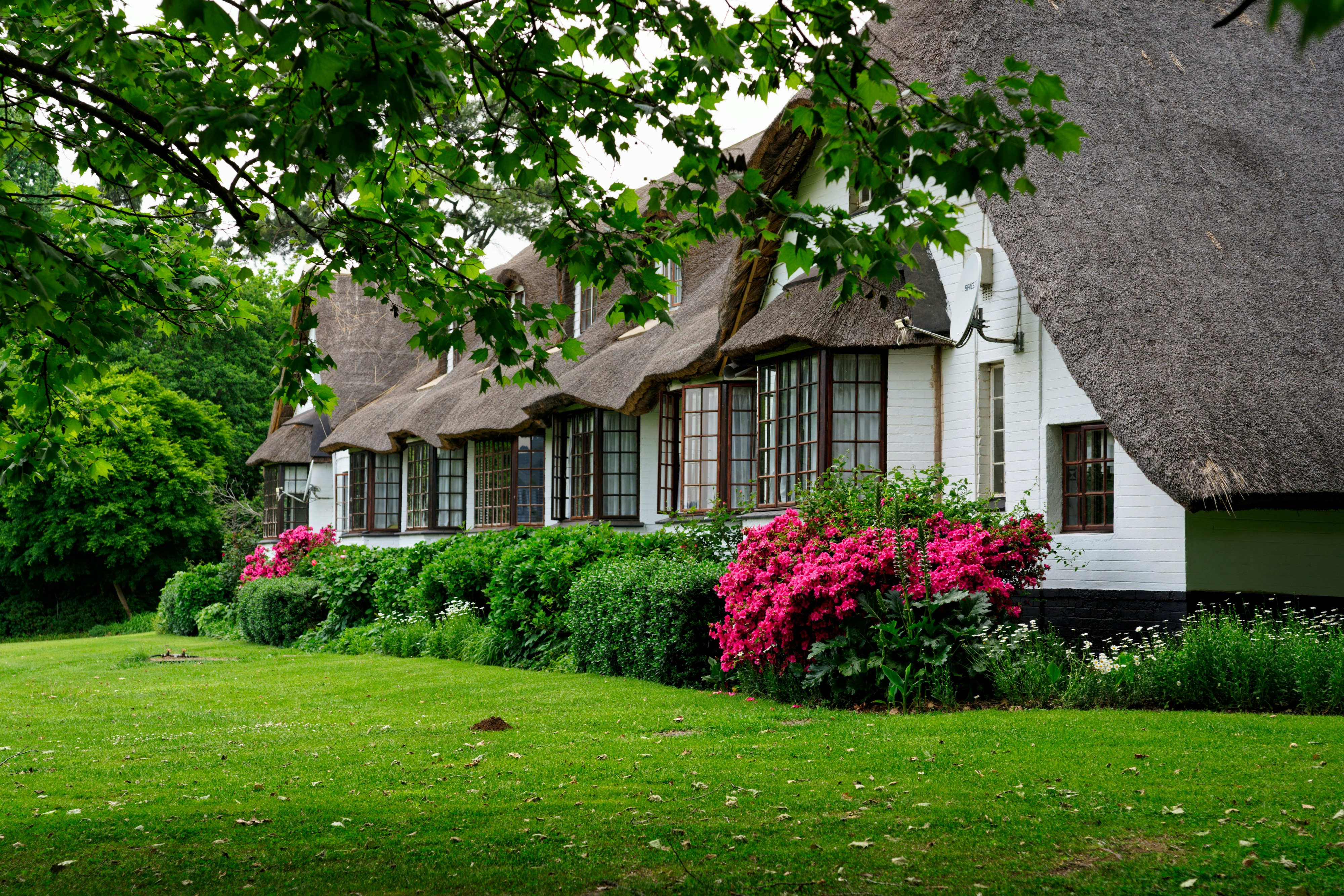 ein Haus mit großem Vorgarten