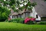 A row of charming thatched-roof cottages is surrounded by lush greenery and colorful blooming flowers. The cottages feature white walls and multiple wooden windows. Bright pink flowers and thick green bushes line the front garden, providing a vibrant contrast to the dark thatched roofing. Overhanging tree branches with green leaves frame the top of the scene, contributing to the serene and picturesque setting.