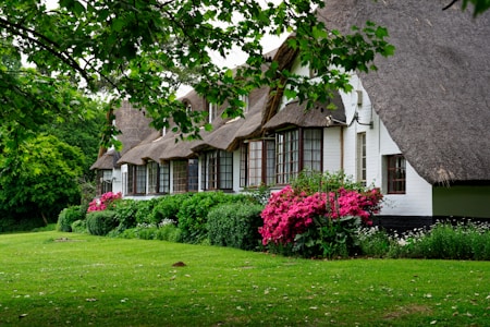 A row of charming thatched-roof cottages is surrounded by lush greenery and colorful blooming flowers. The cottages feature white walls and multiple wooden windows. Bright pink flowers and thick green bushes line the front garden, providing a vibrant contrast to the dark thatched roofing. Overhanging tree branches with green leaves frame the top of the scene, contributing to the serene and picturesque setting.