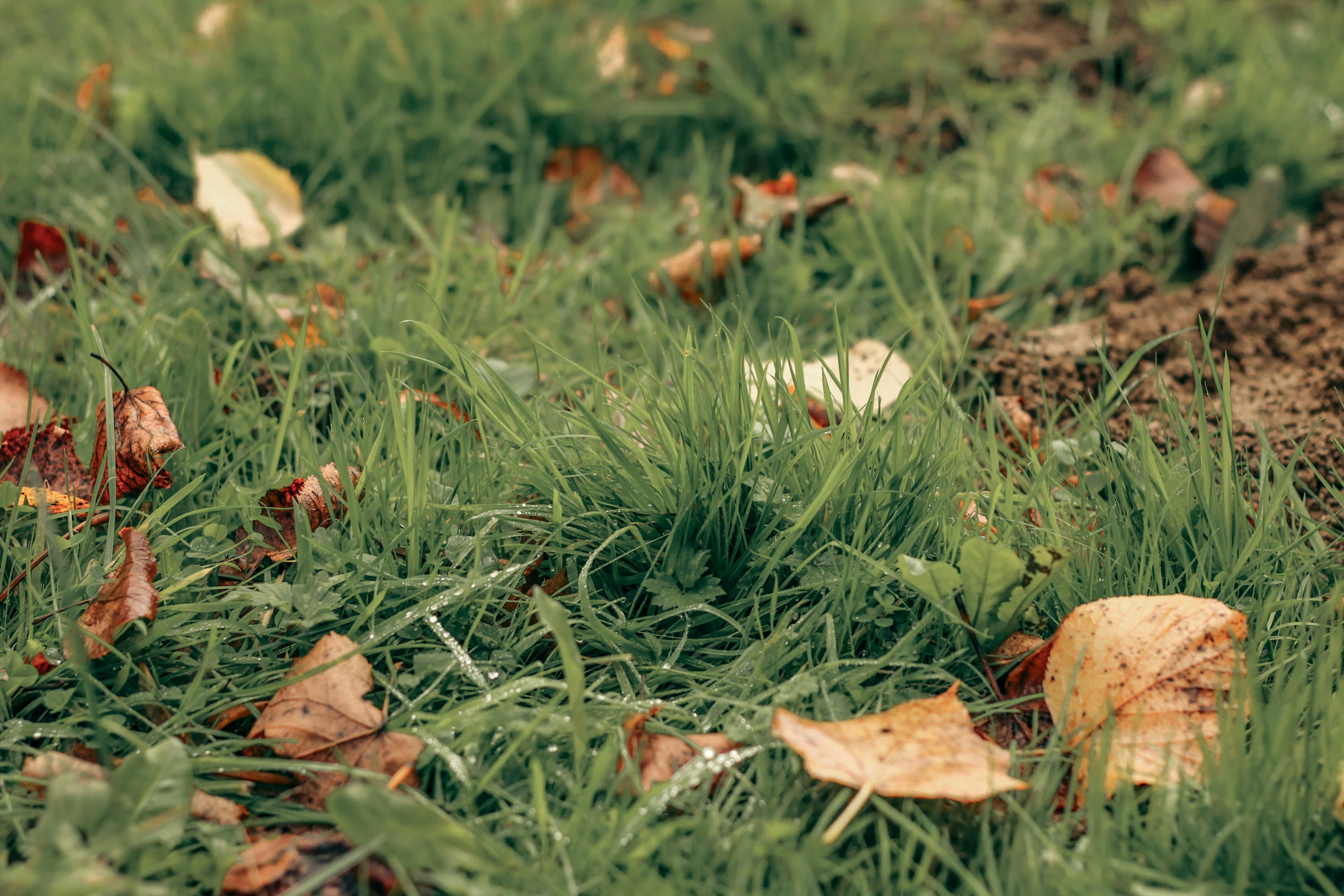 Photo by focalinsight