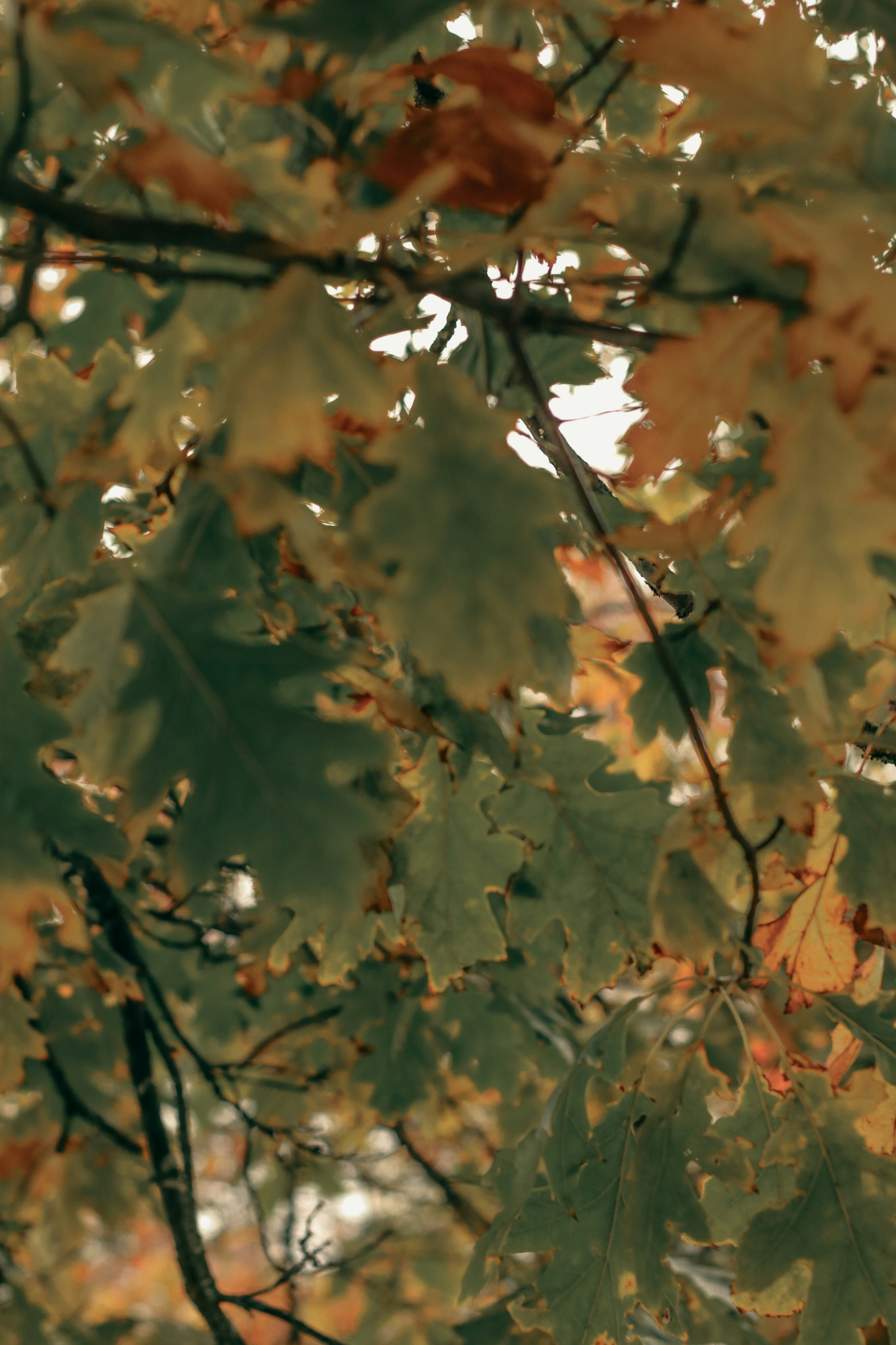 Photo by focalinsight